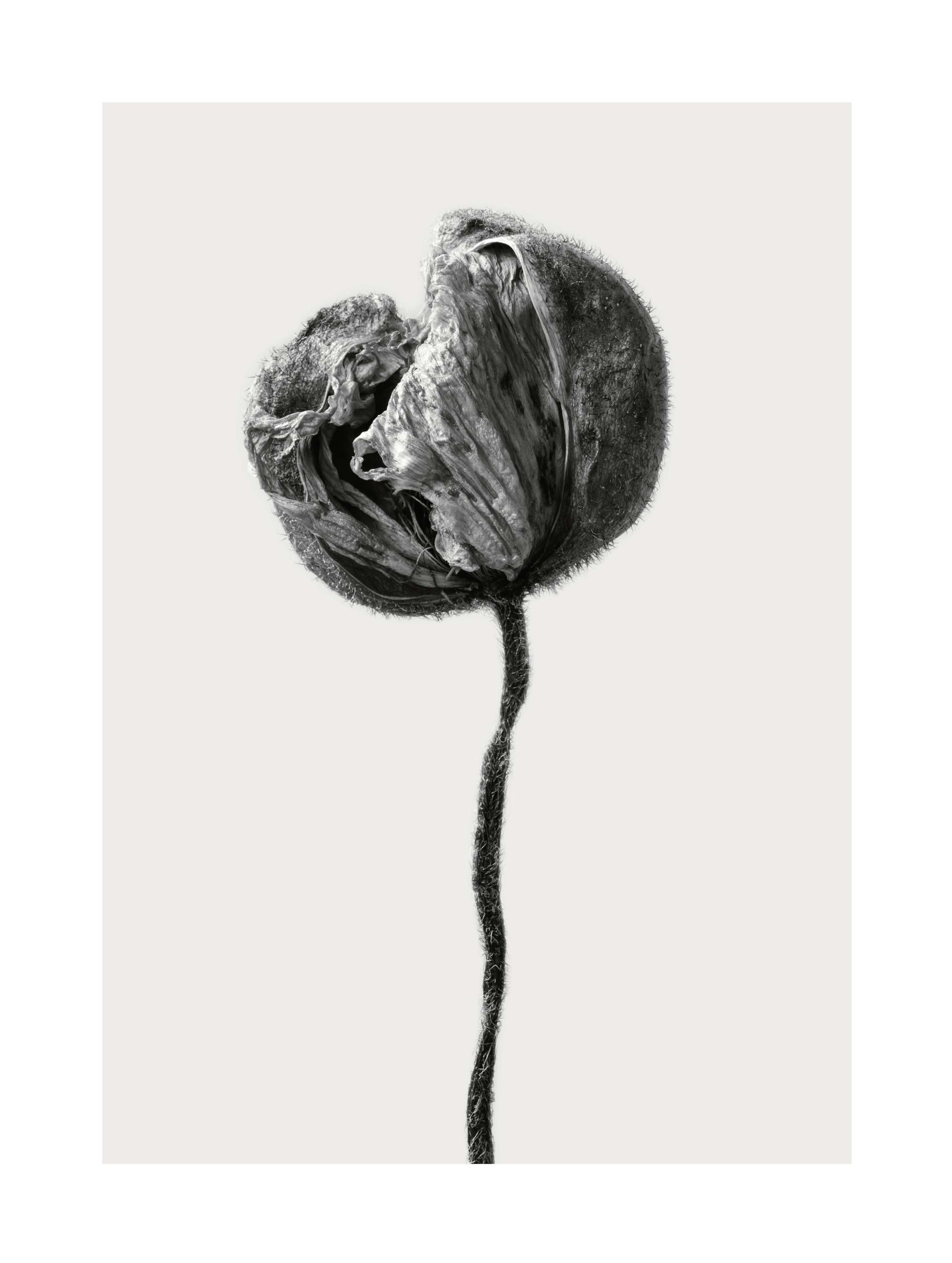 Product image: 1