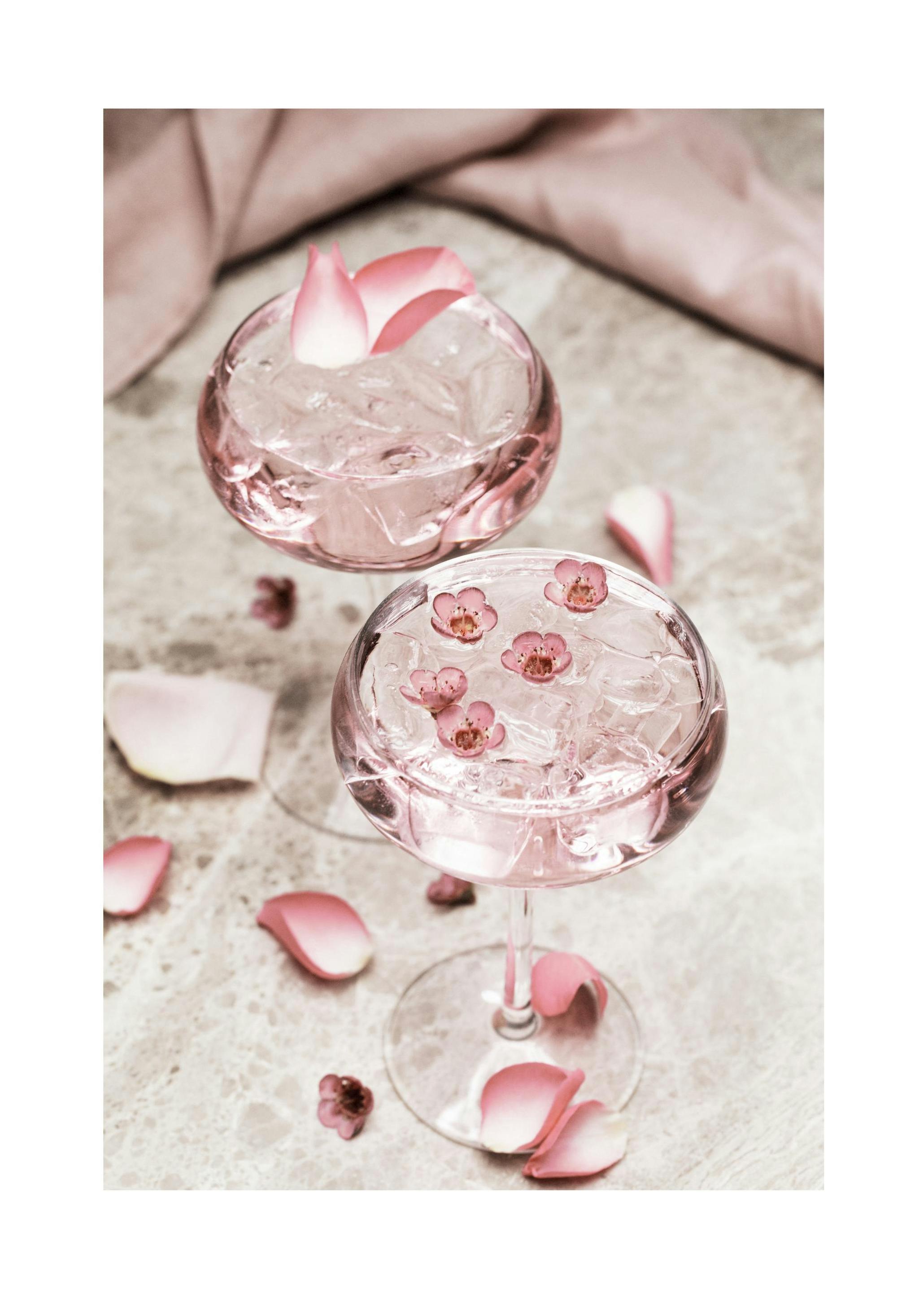 Rose Cocktail No1 Plakat (21x30 cm)- Wino i koktajle