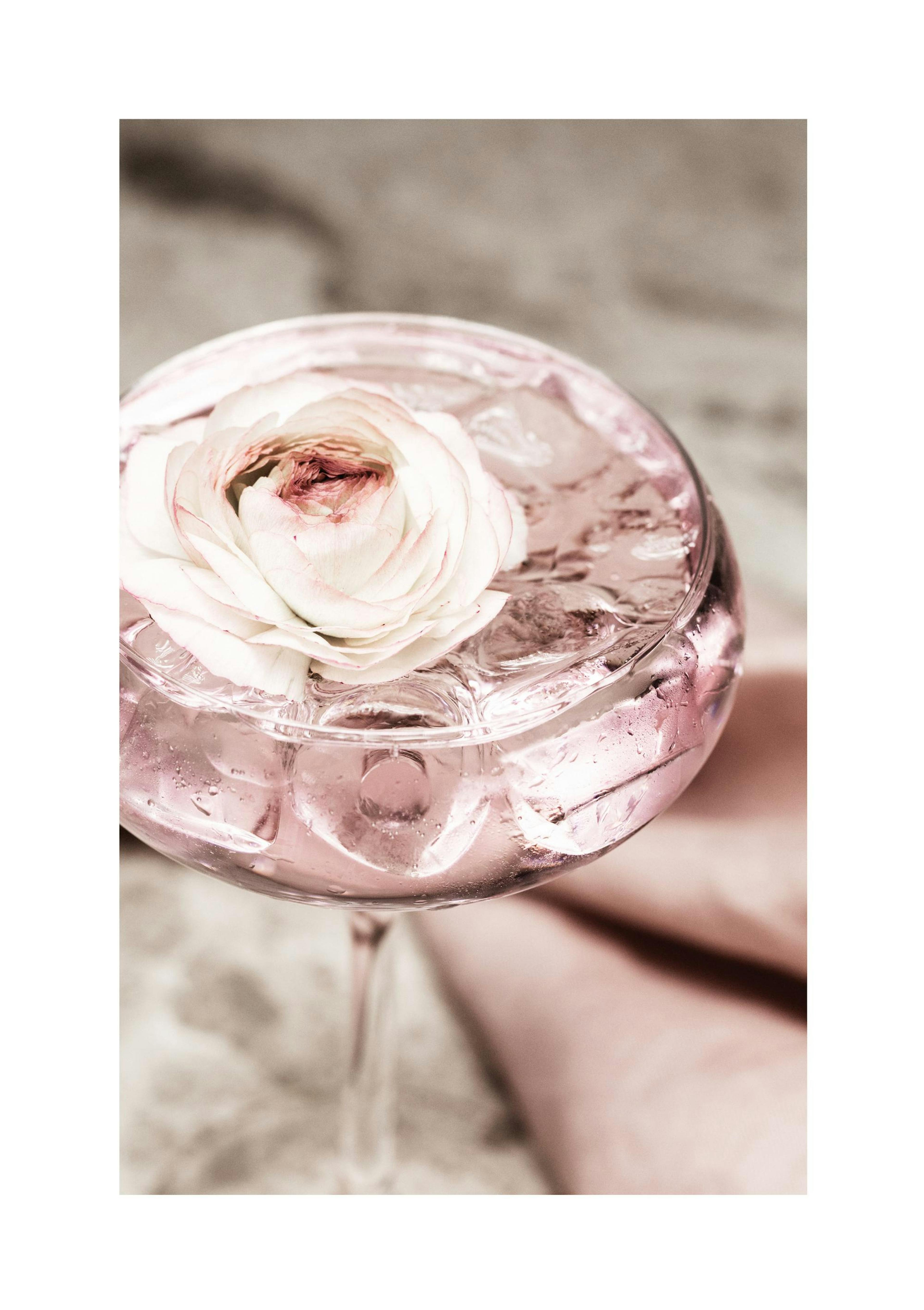 Rose Cocktail No2 Print