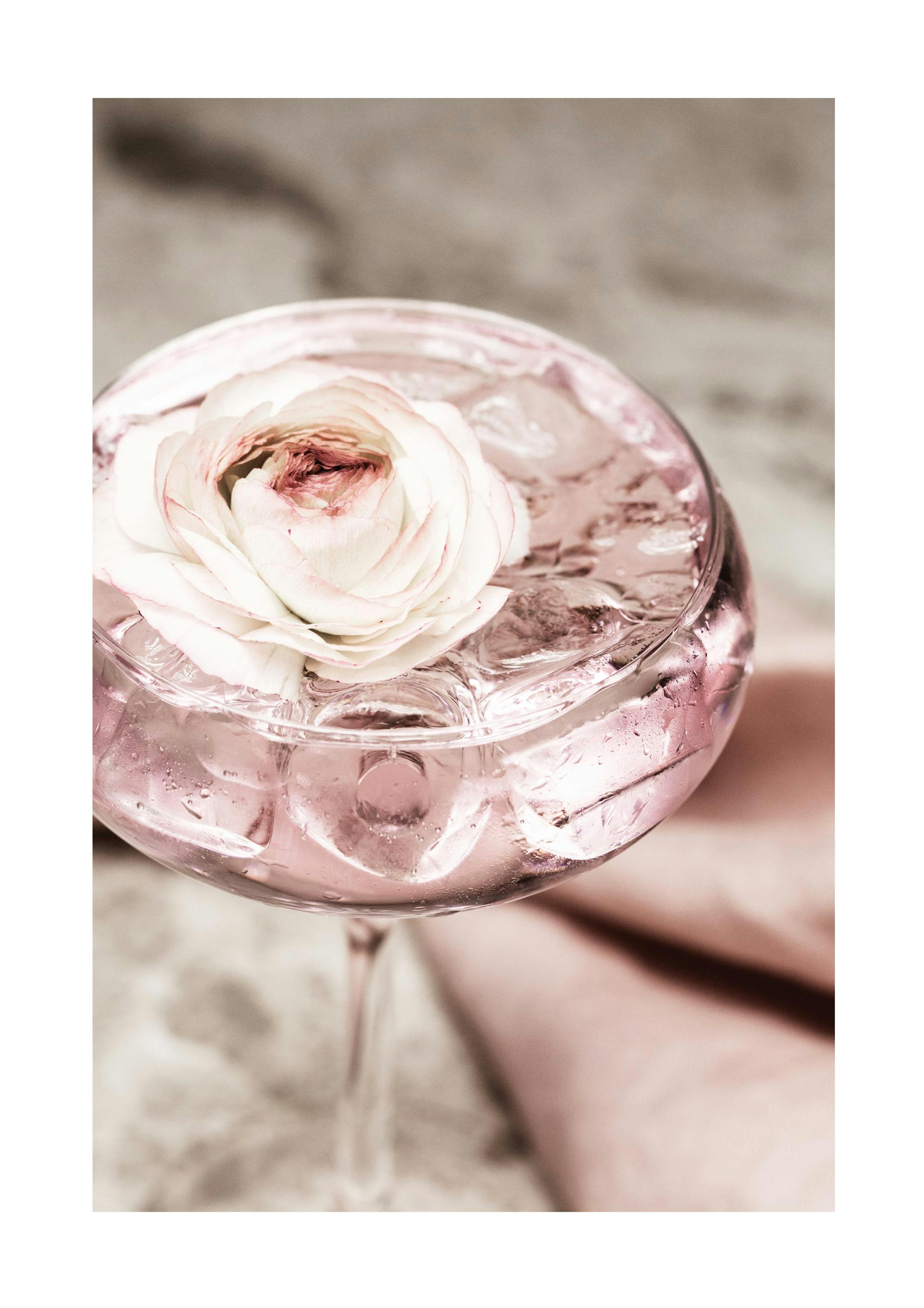 Rose Cocktail No2 Poster 0