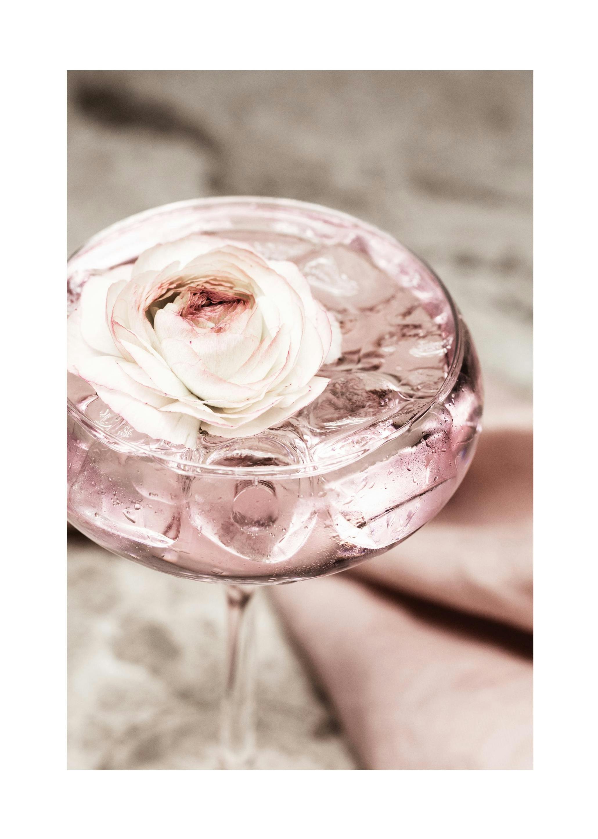 Prints - Rose Cocktail No2 Print (50x70 cm) - Wine and cocktails posters