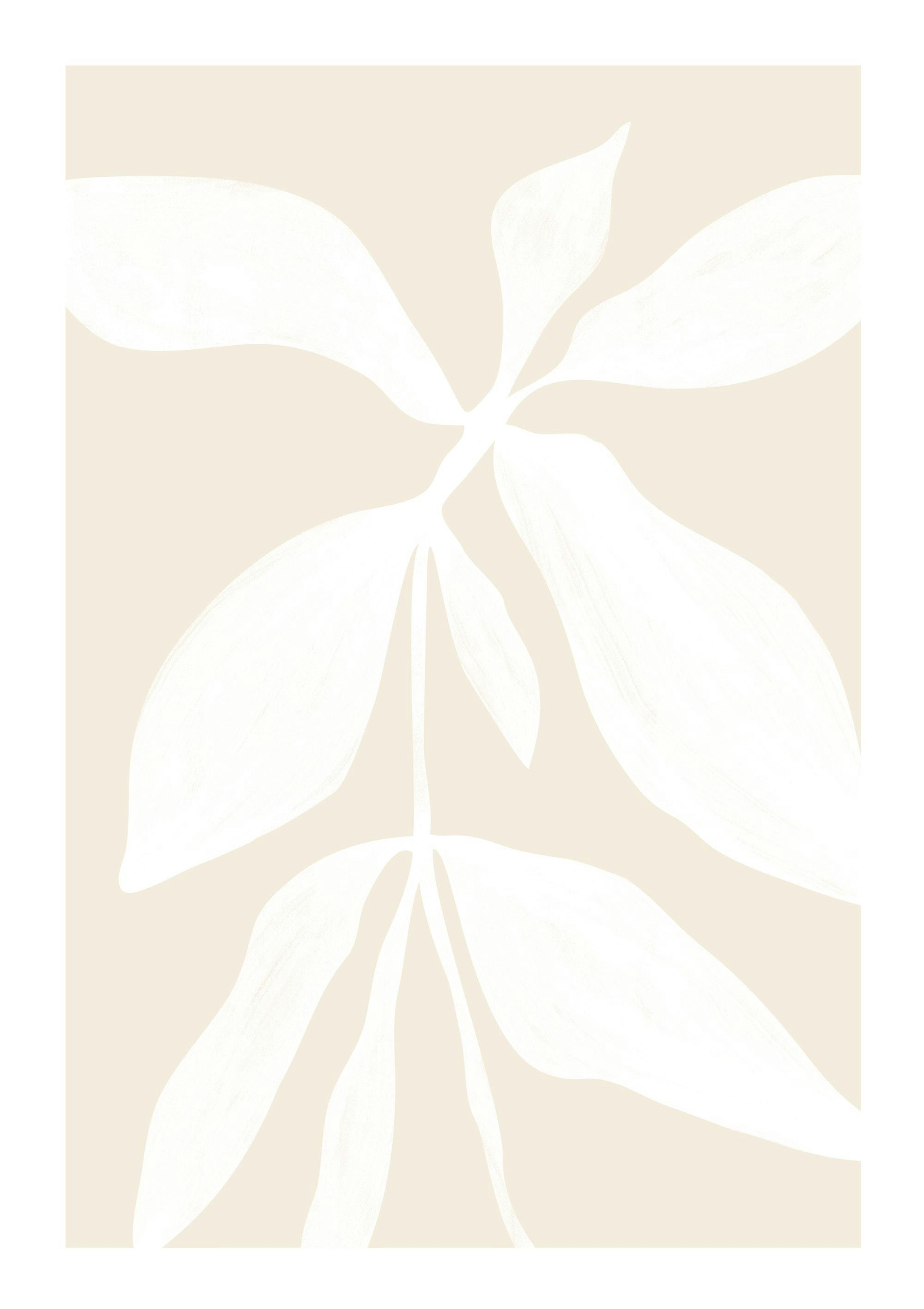 White Botanical No1 Poster