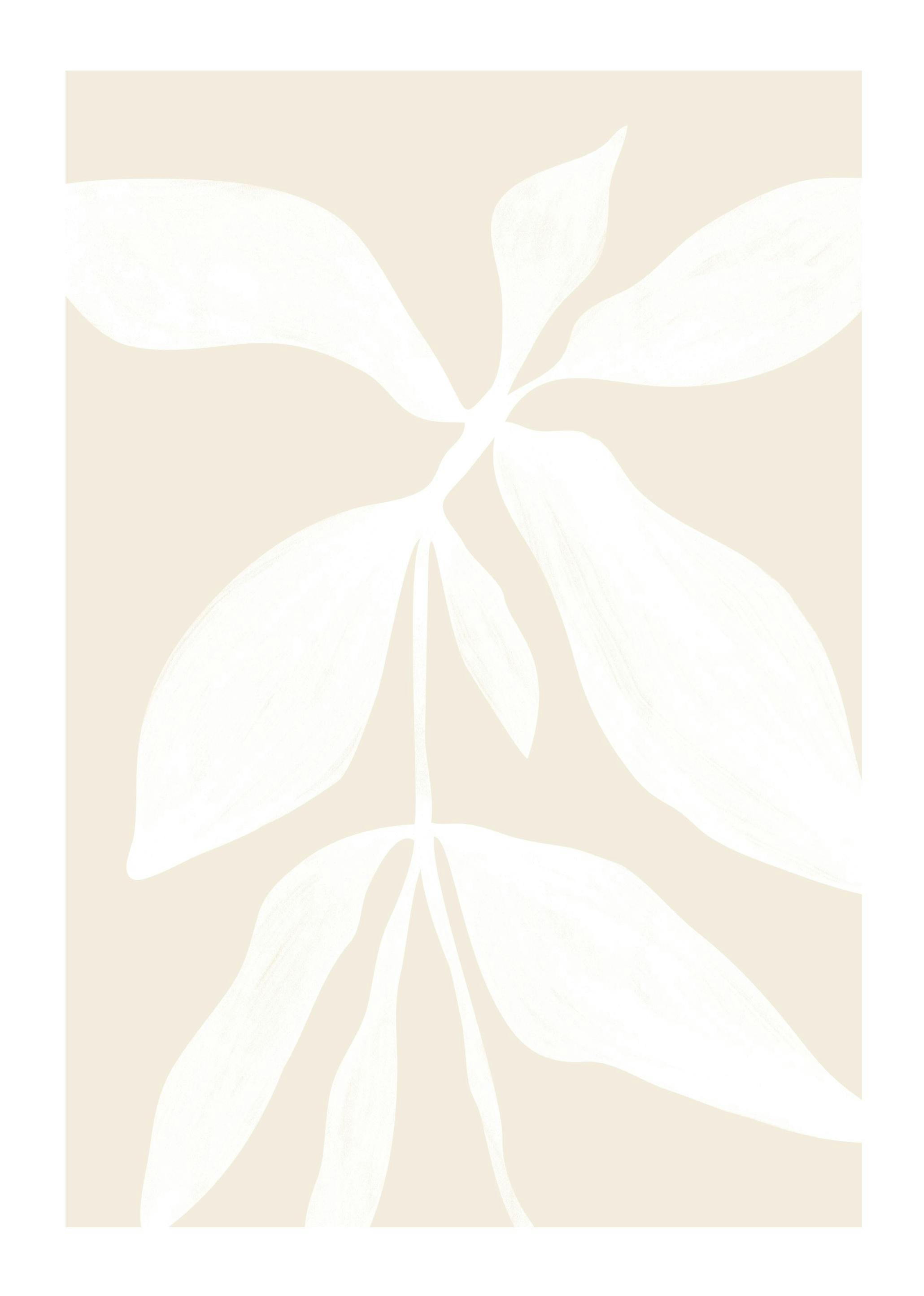 White Botanical No1 Poster (50x70 cm) - Groene planten