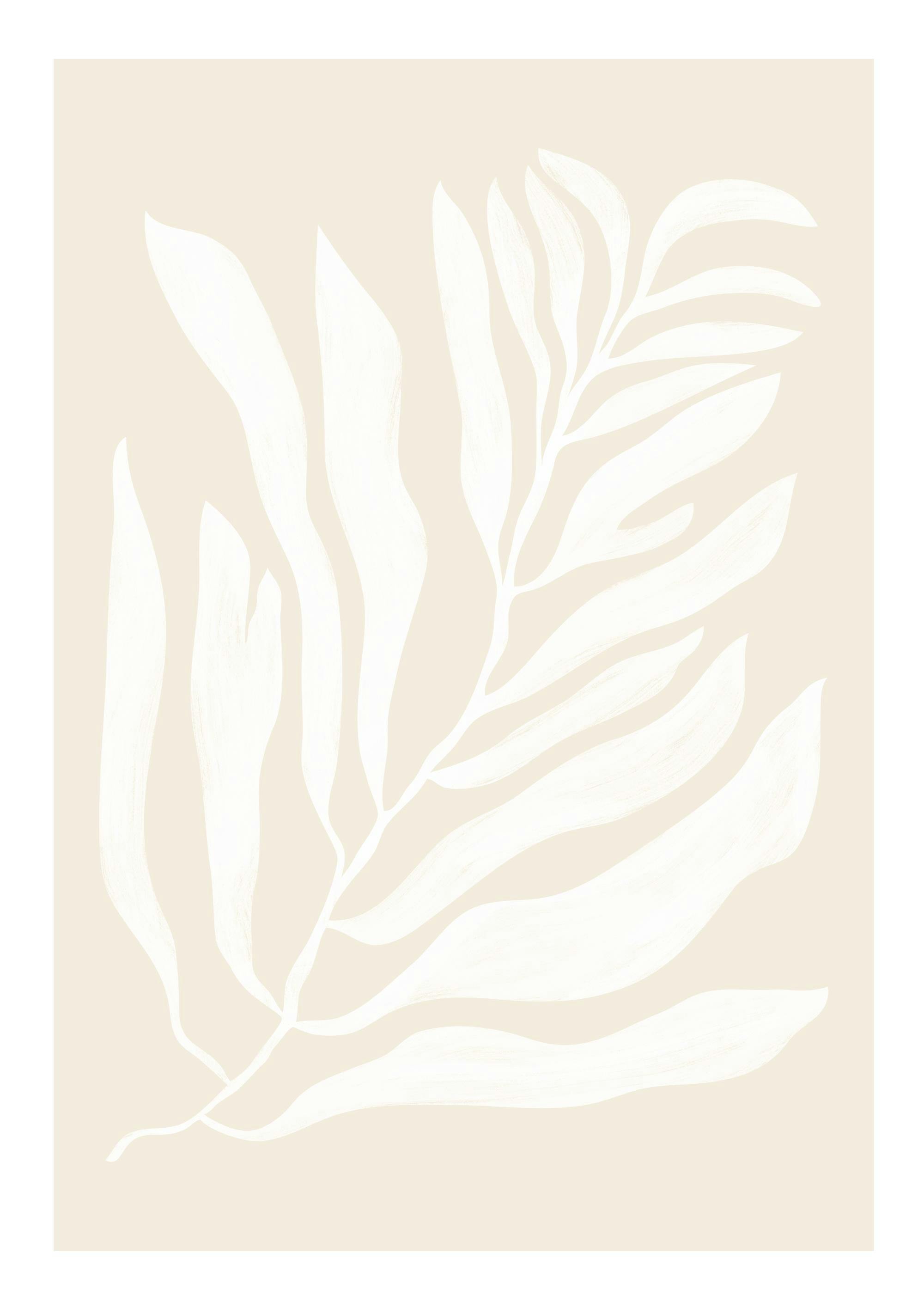 White Botanical No2 Plakát 0