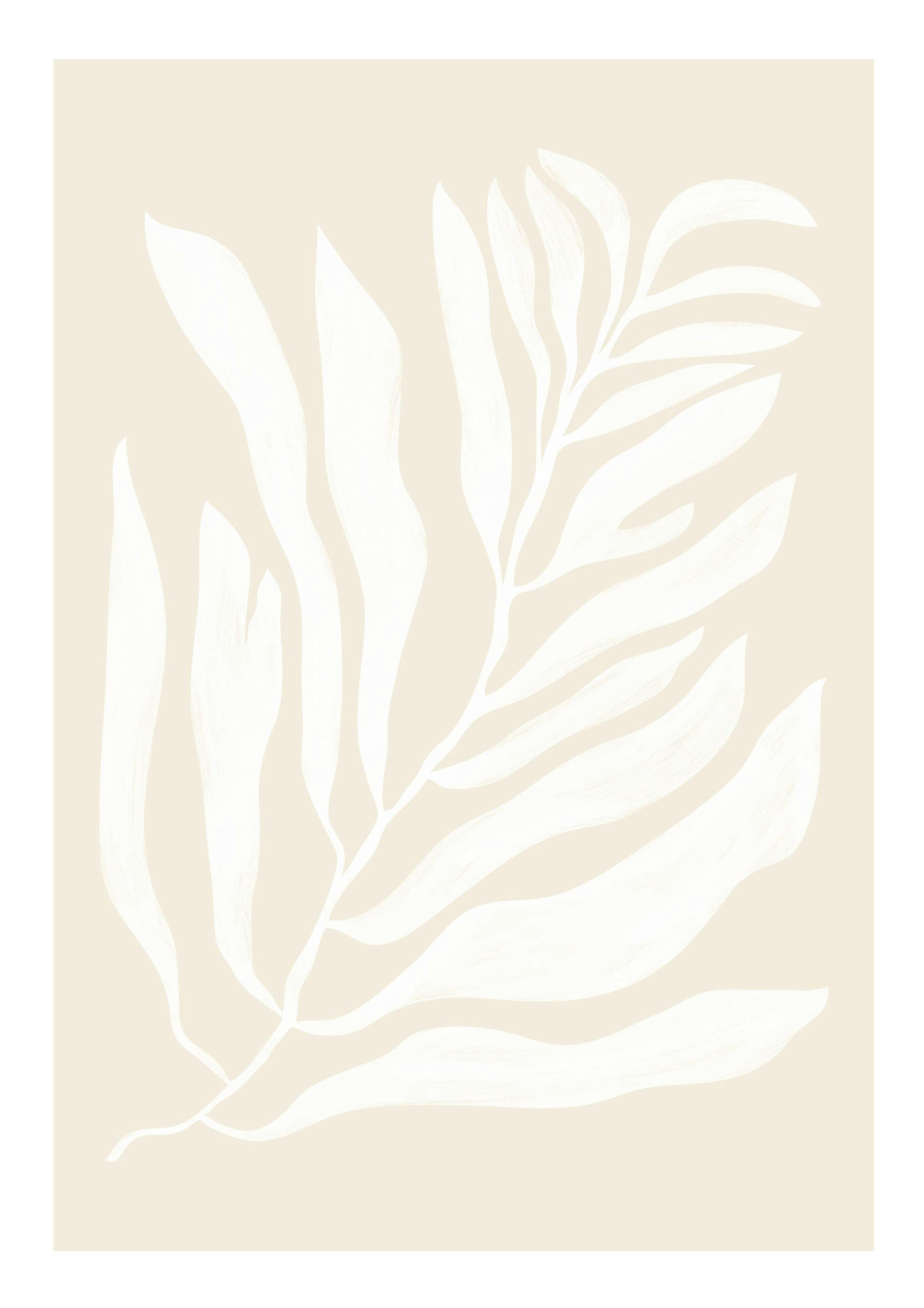 White Botanical No2 Print 0