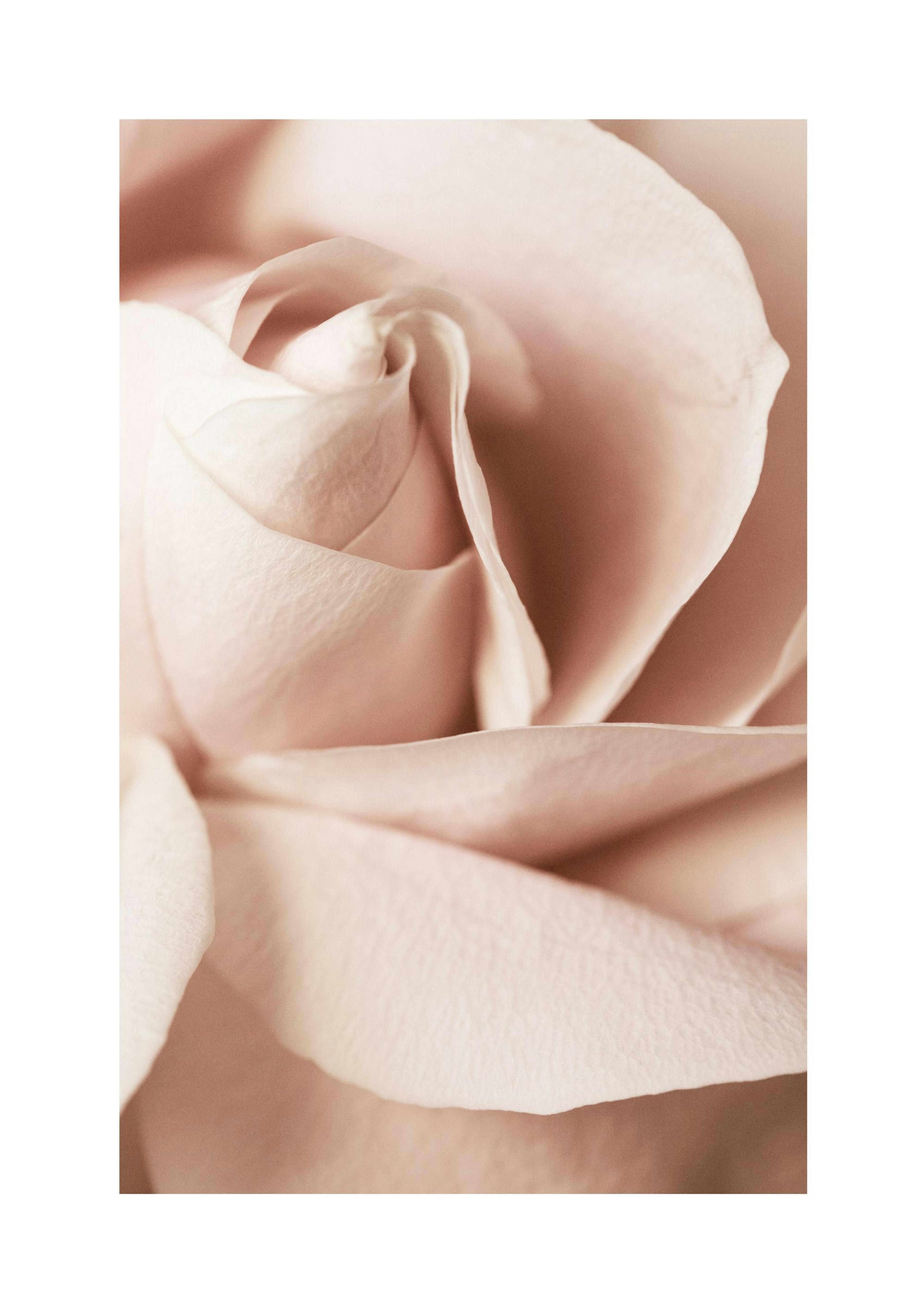 Product image: 1
