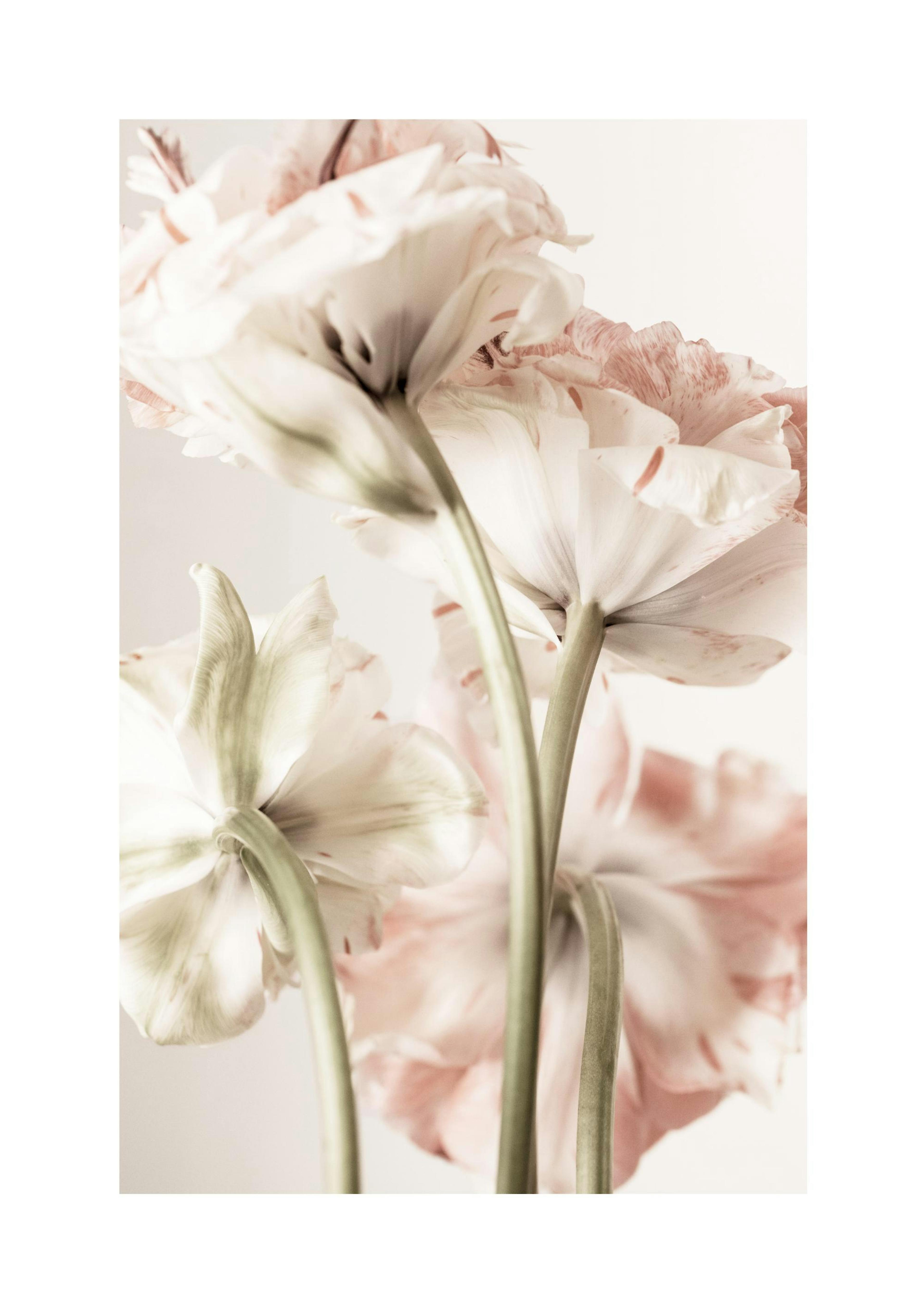 Product image: 1