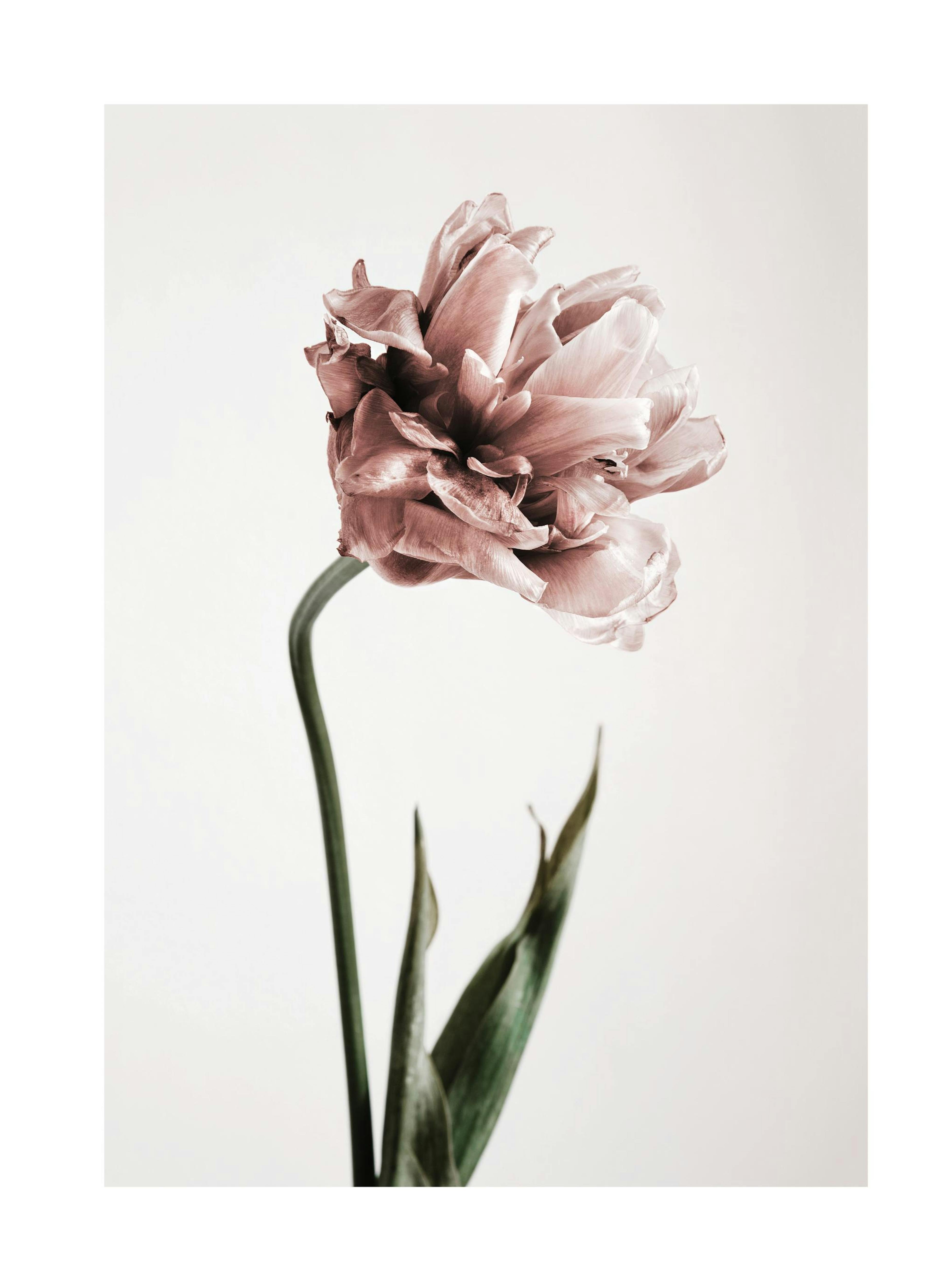 Product image: 1