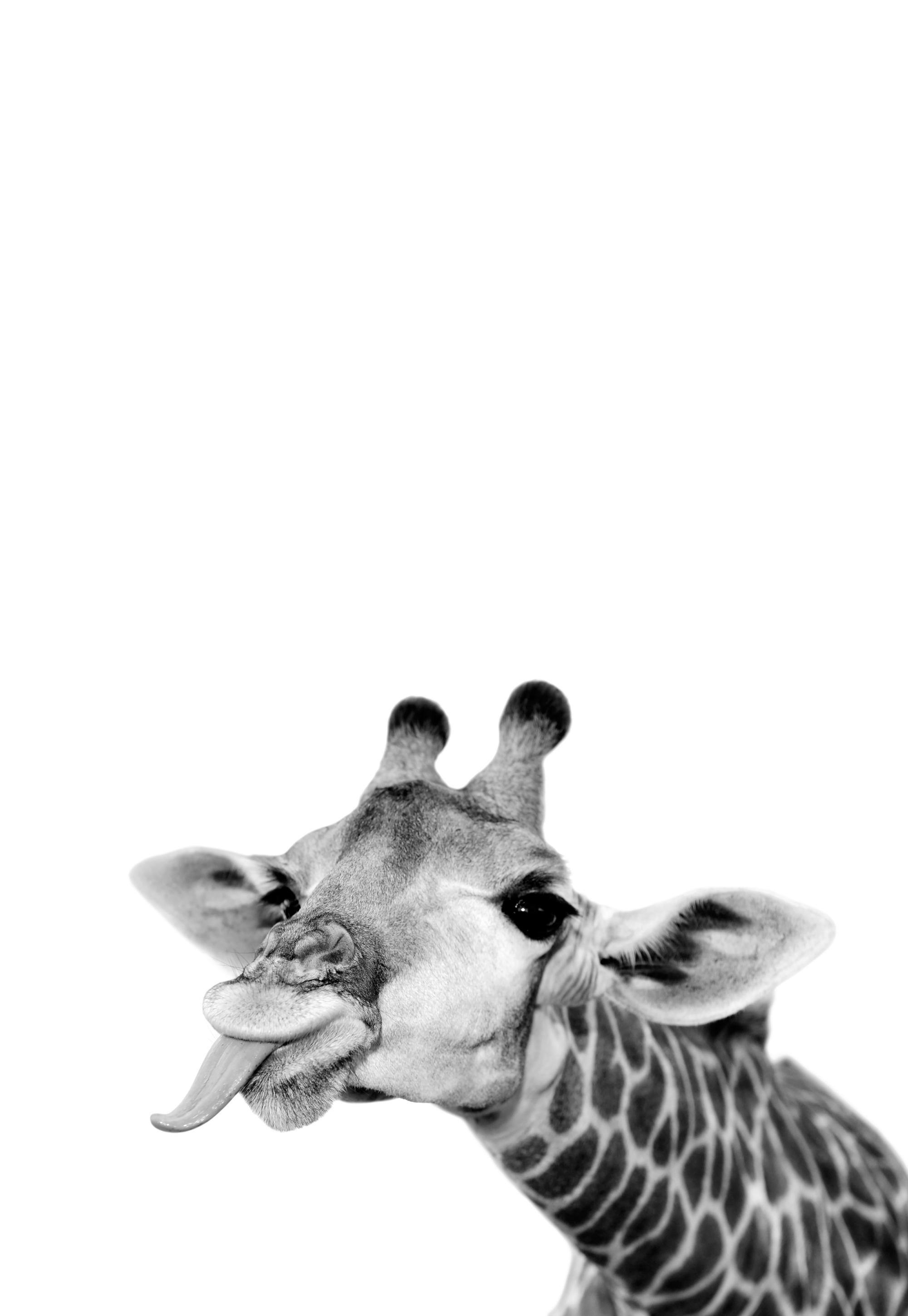 Goofy Giraffe 포스터 0