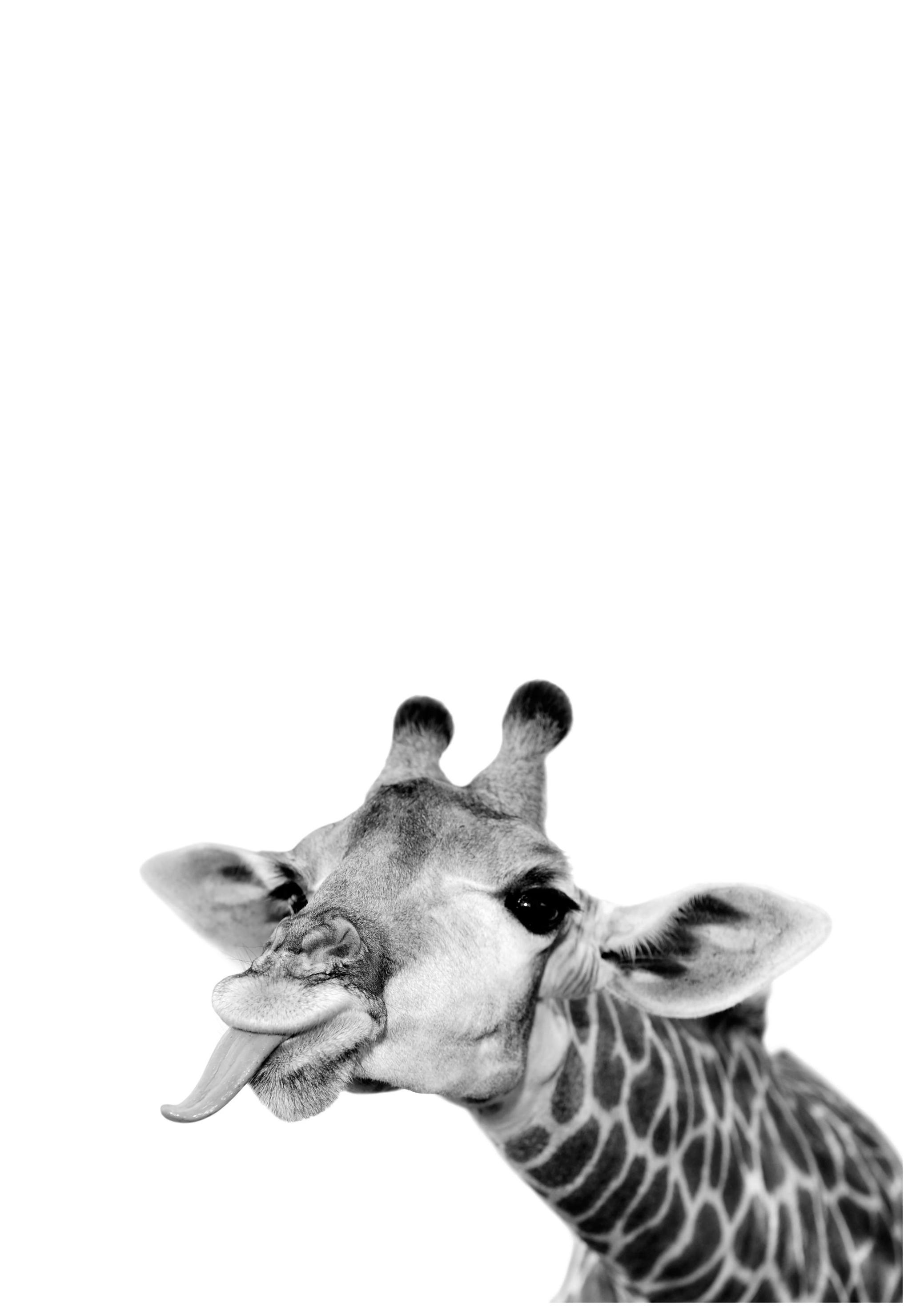 Goofy Giraffe Poster (21x30 cm) - Kinderposters