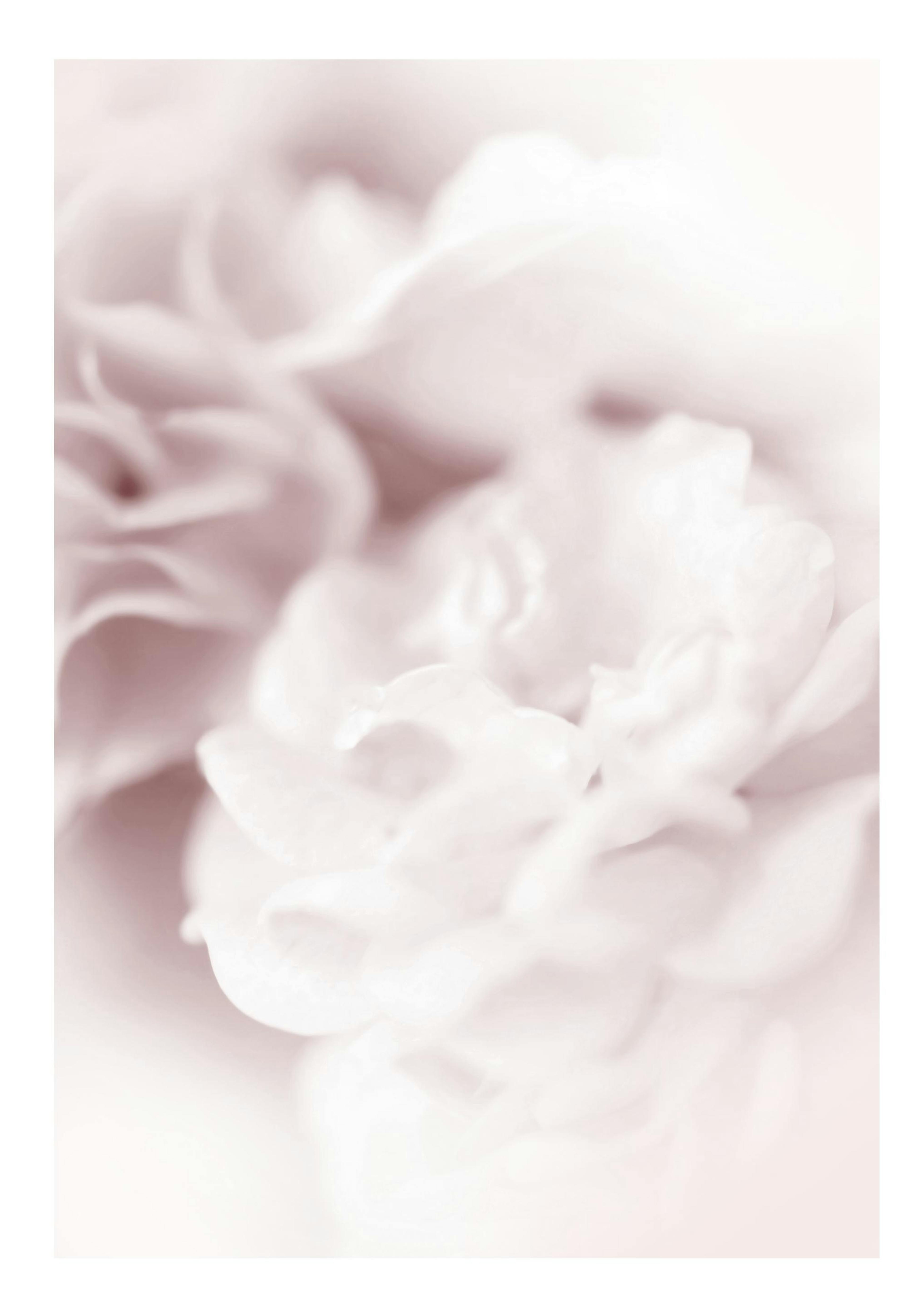 Dusty Pearl Poster