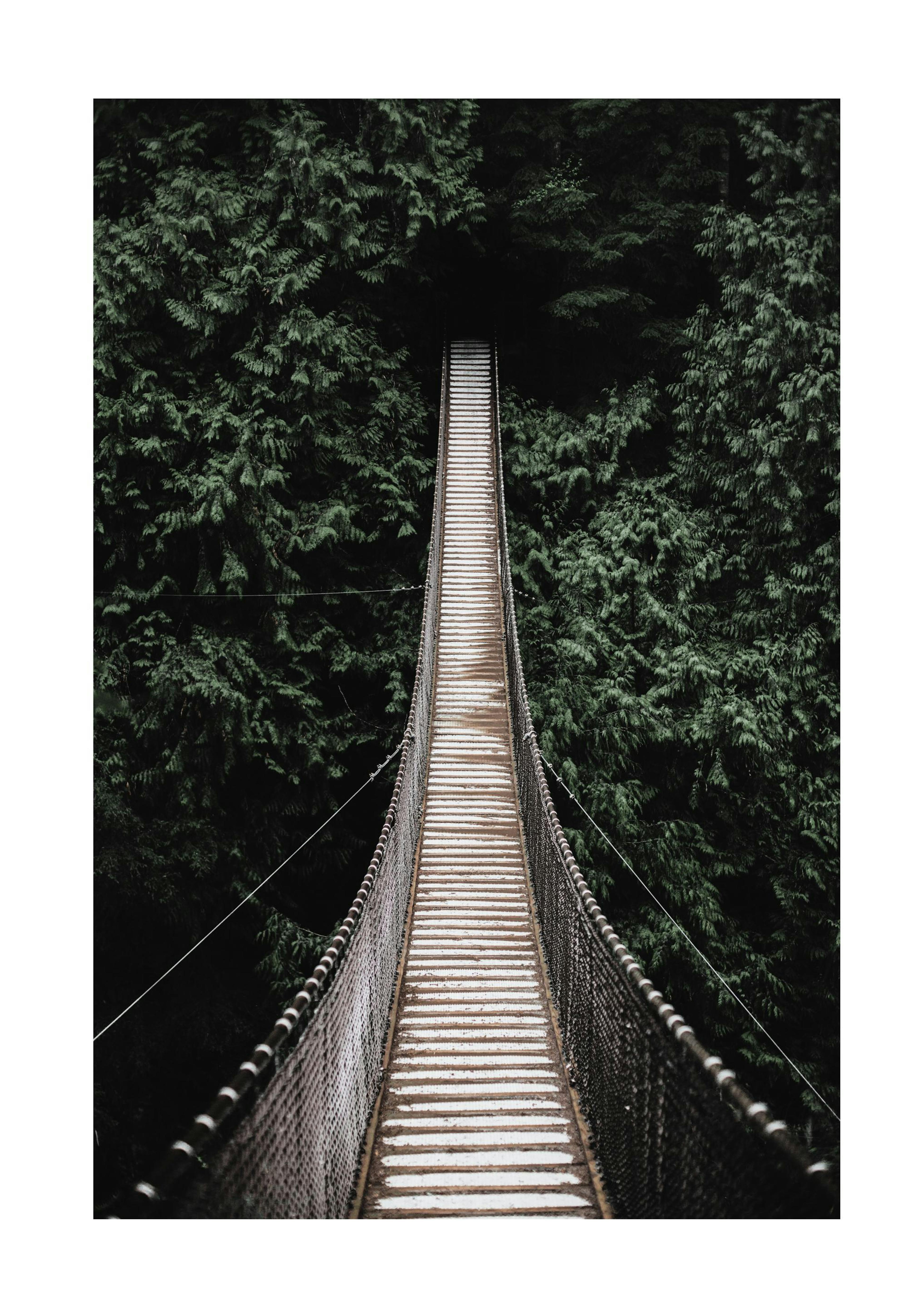 Forest Bridge Poster 0
