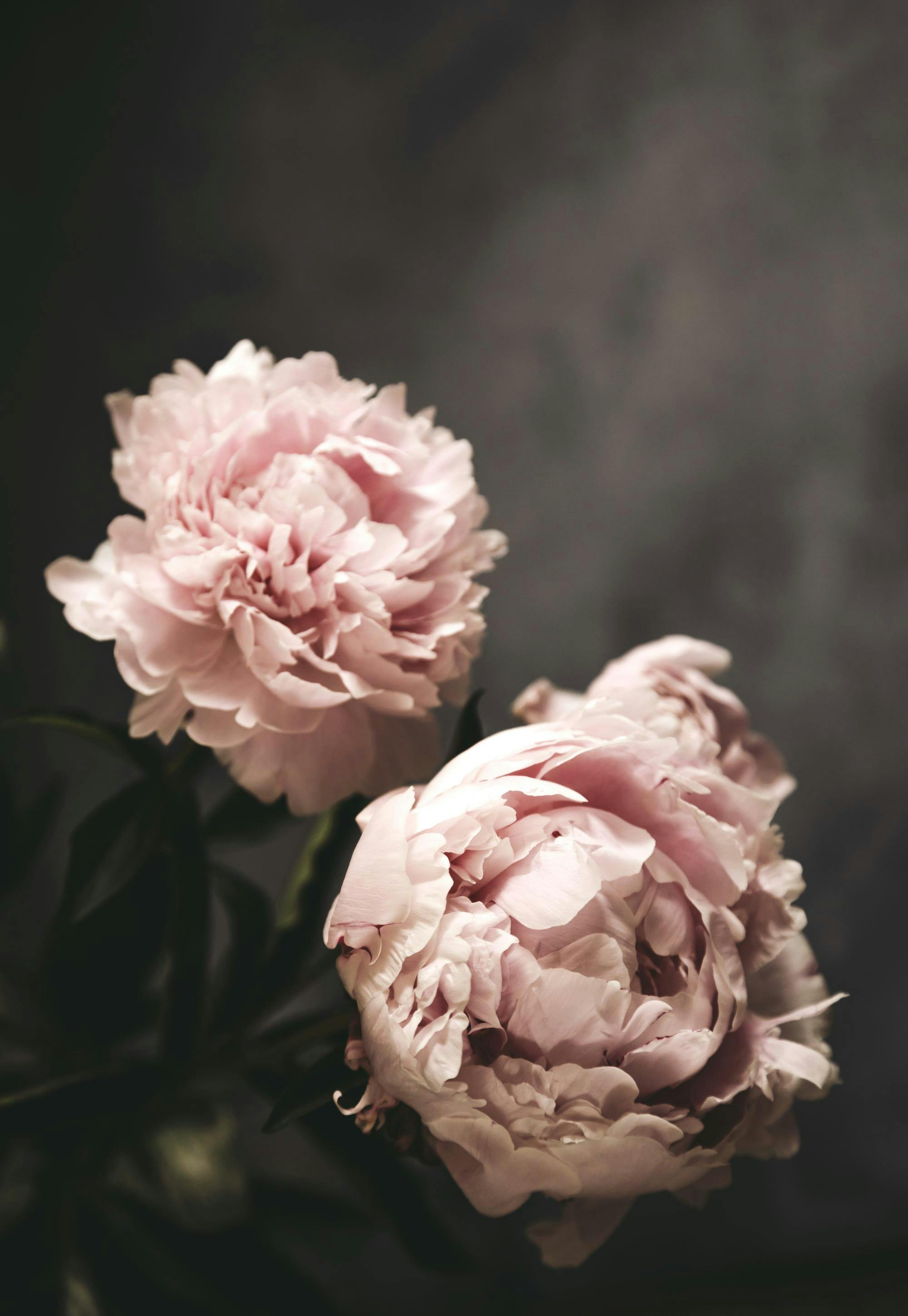 There's Beauty Poster 0