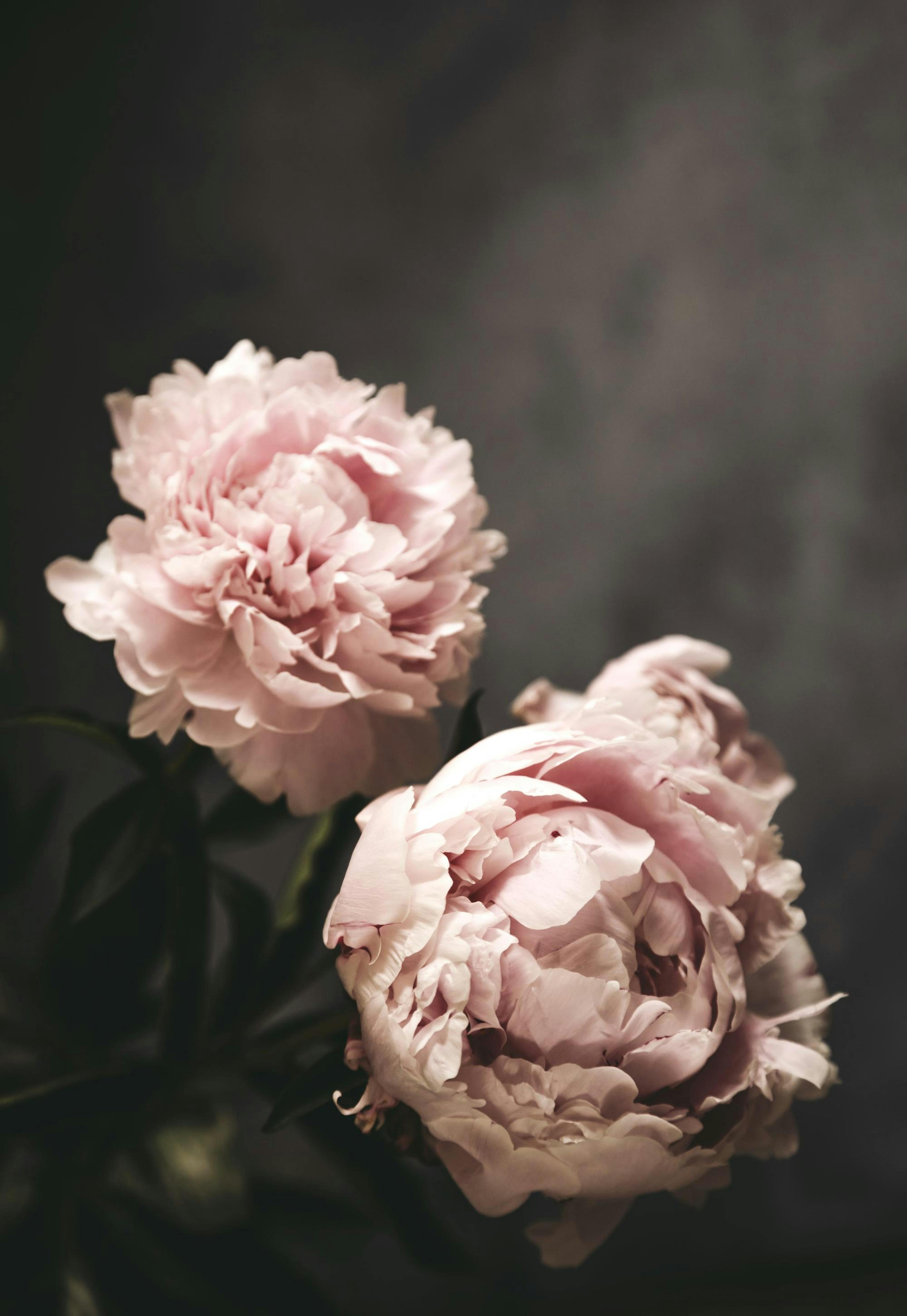 There's Beauty Print 0