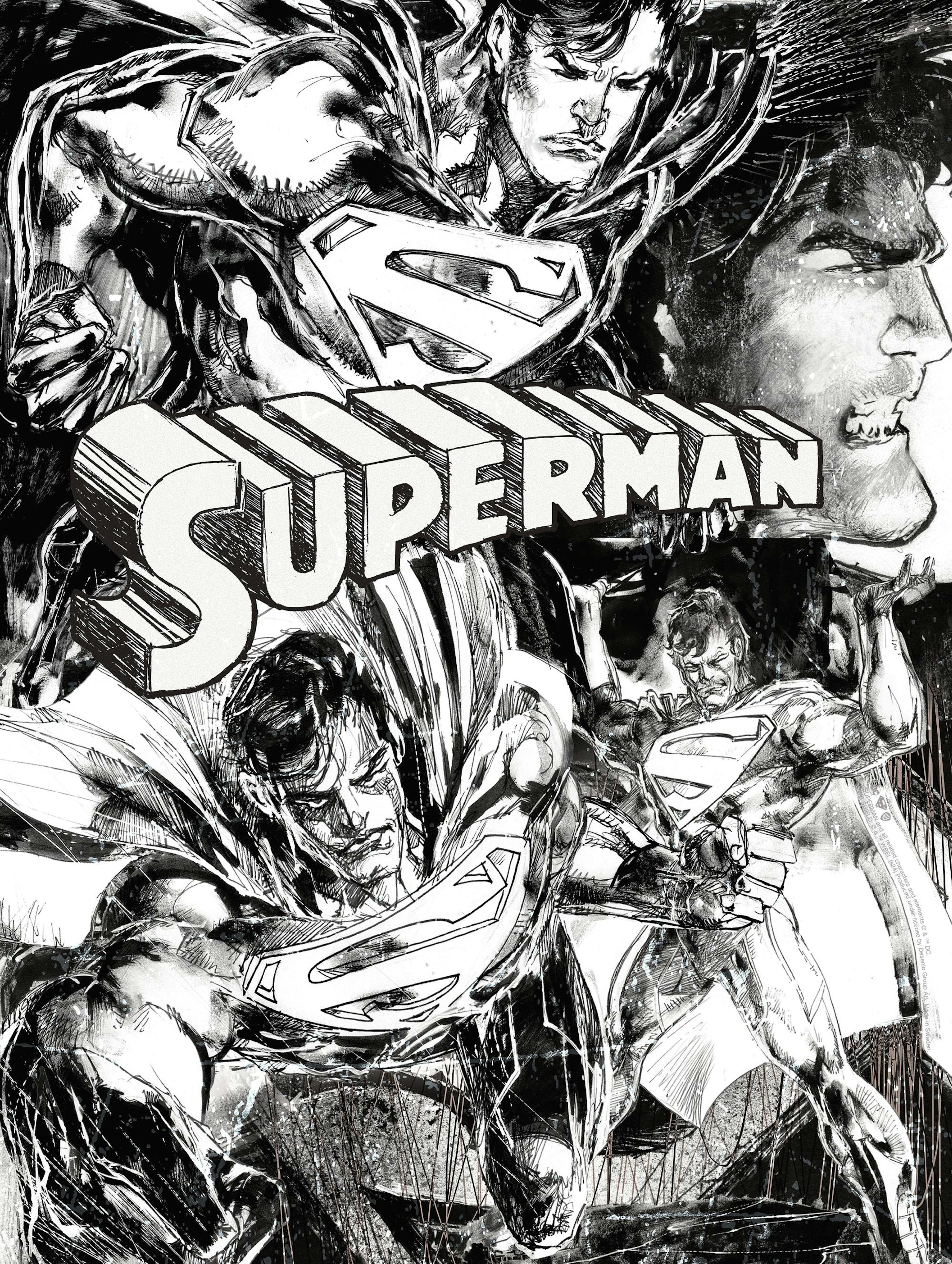 Superman™ - Sketches Poster