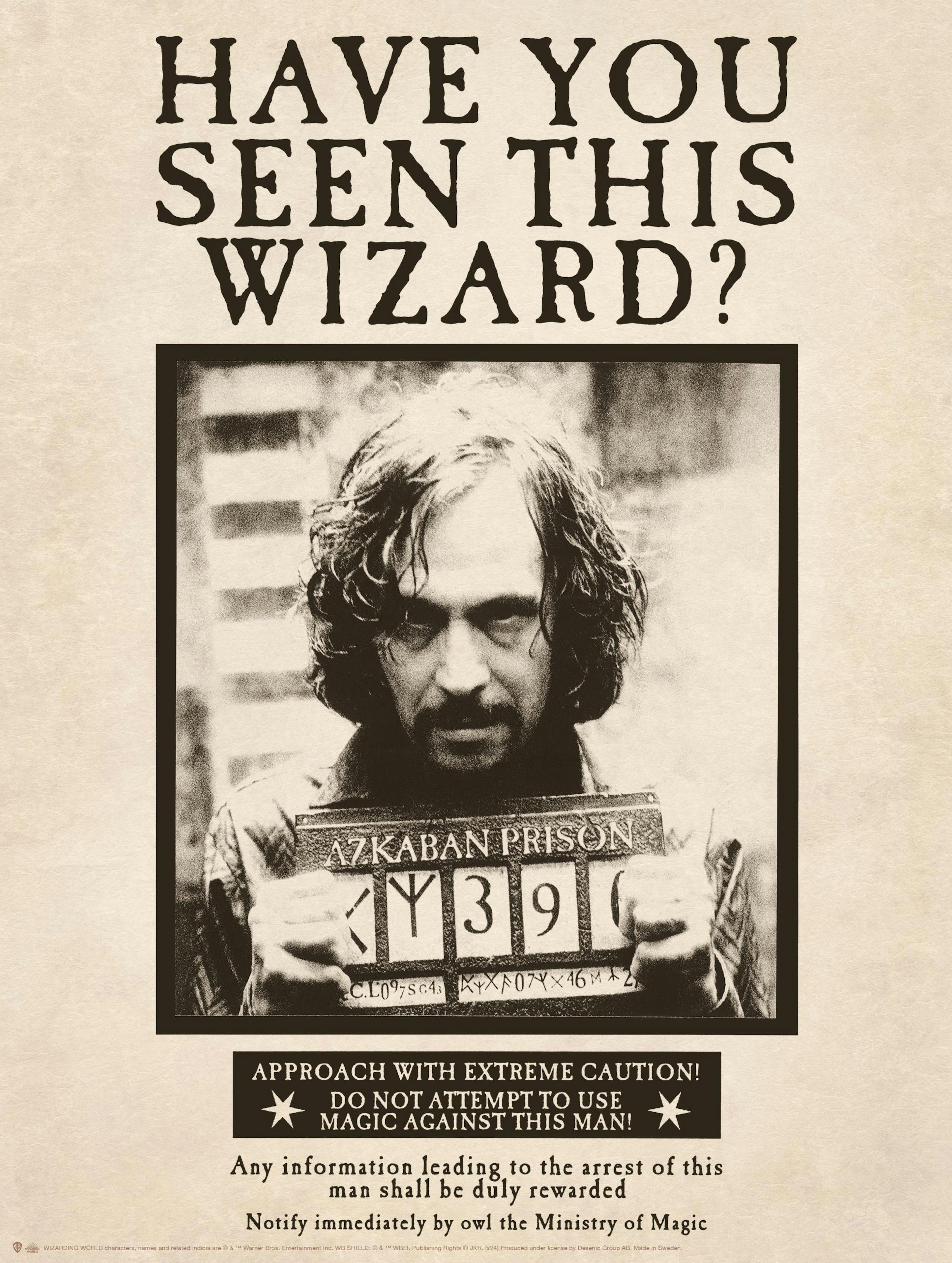 Harry Potter™ - Sirius Black Affiche
