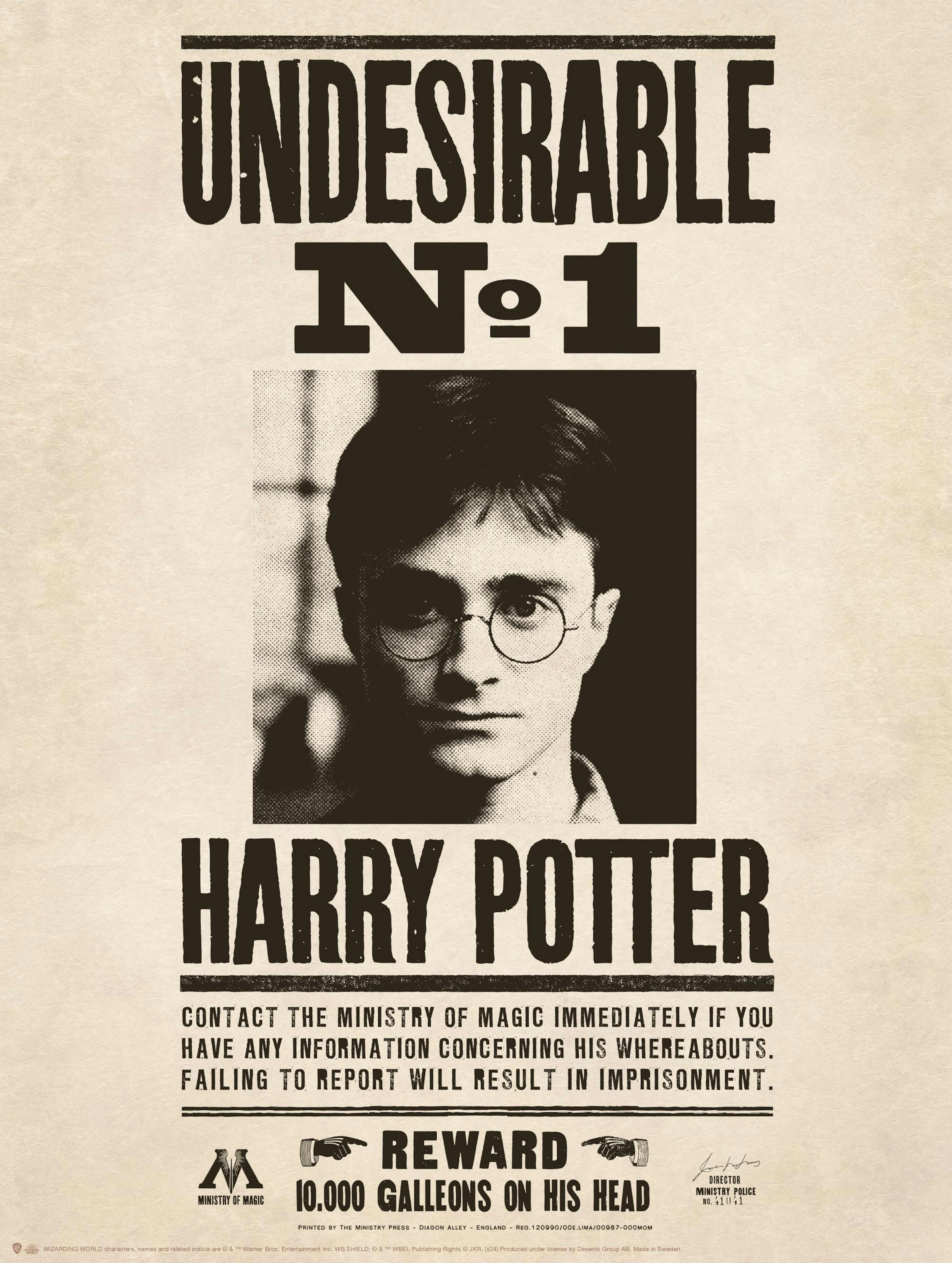 Harry Potter™ - Undesirable Print