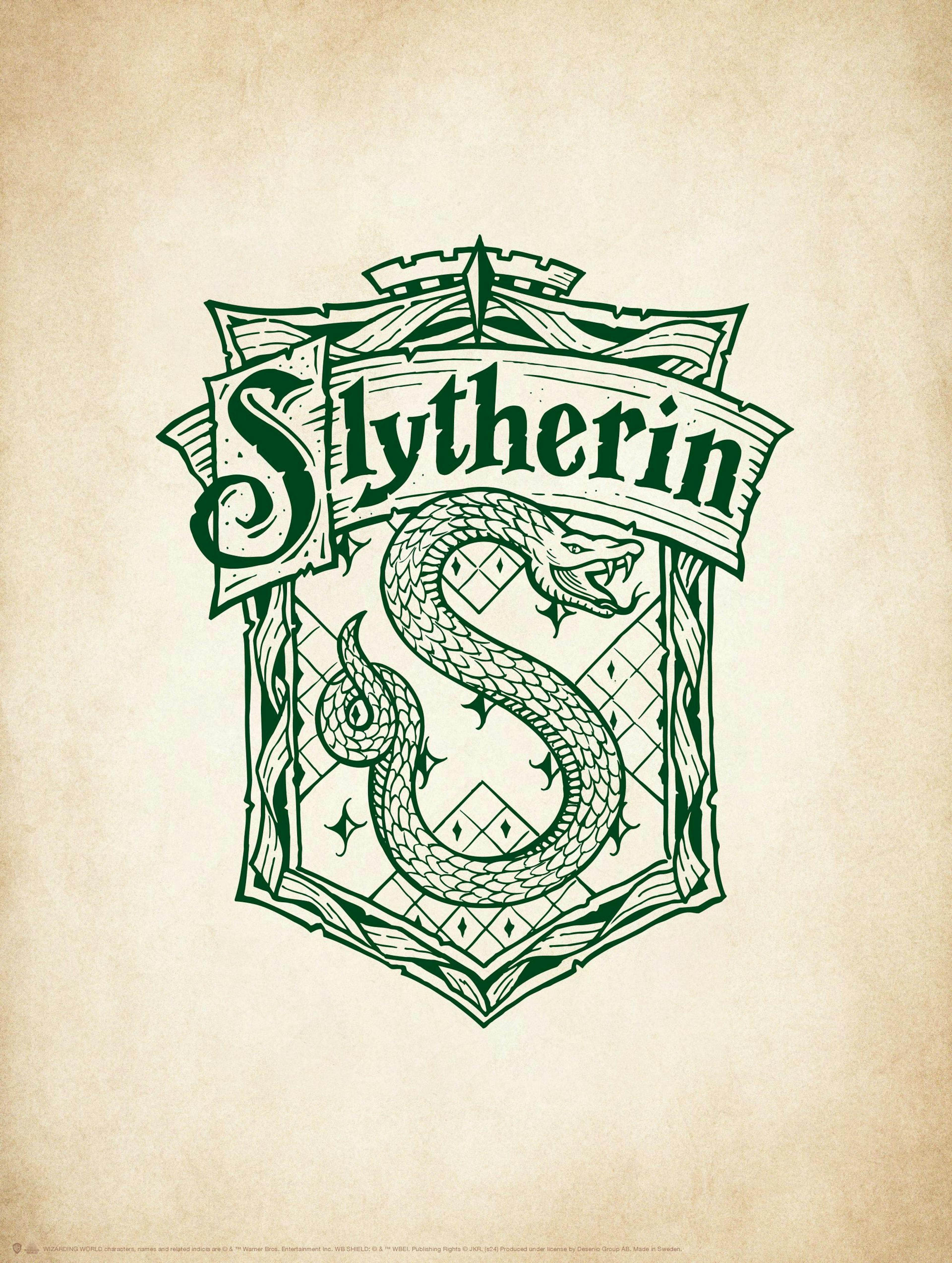 Harry Potter™ - Slytherin Print