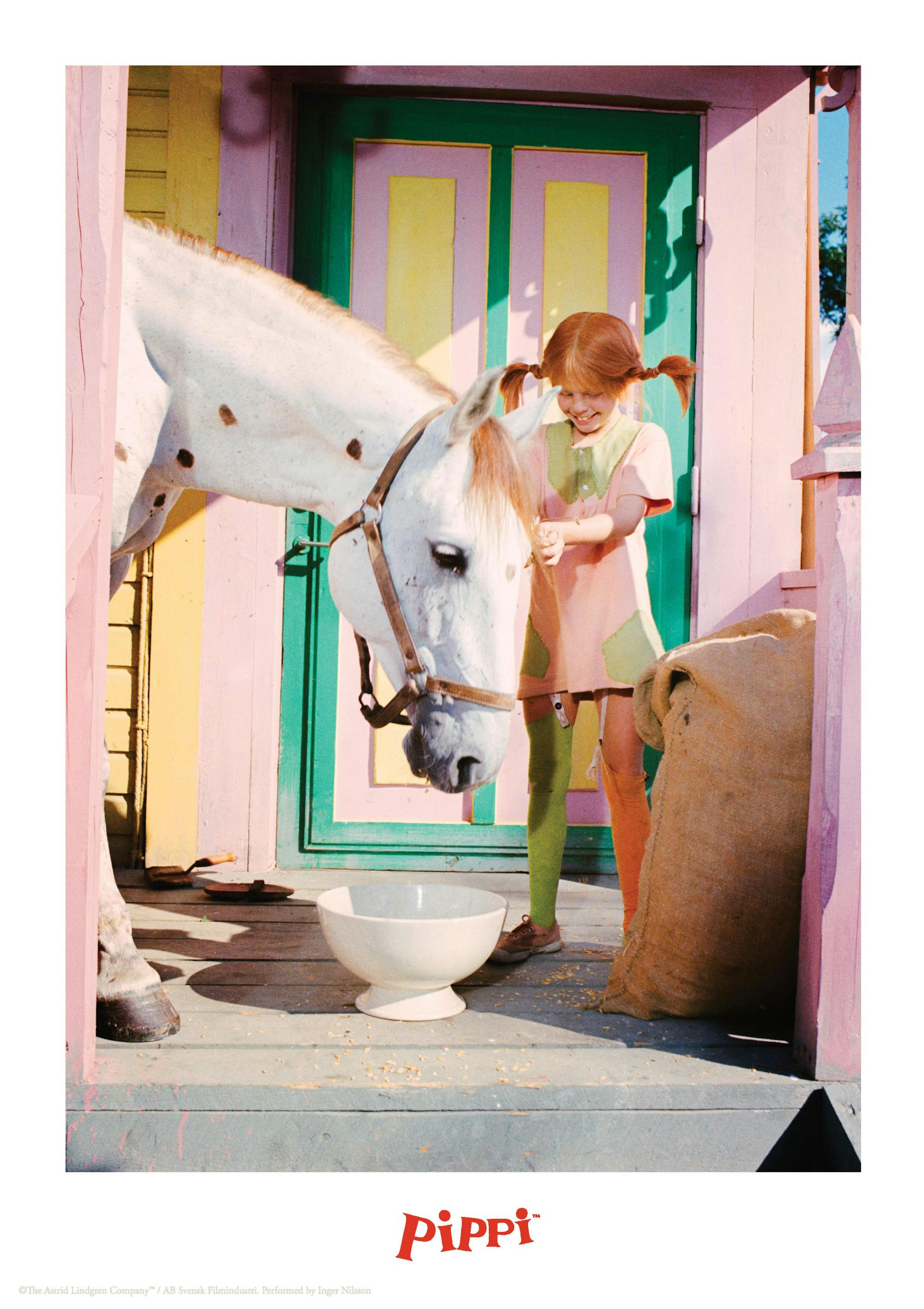 Pippi Longstocking and the Horse Print