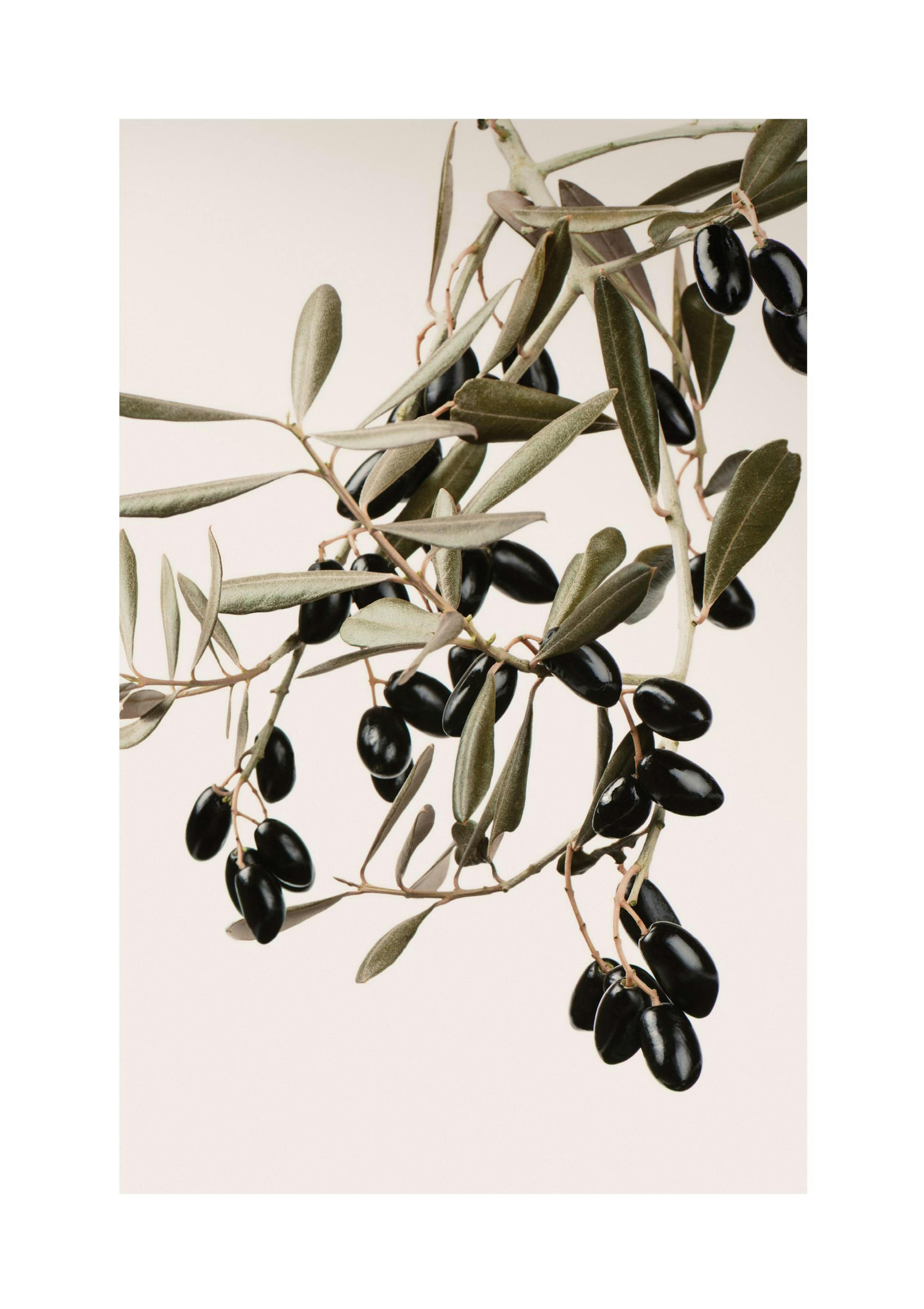 Product image: 1