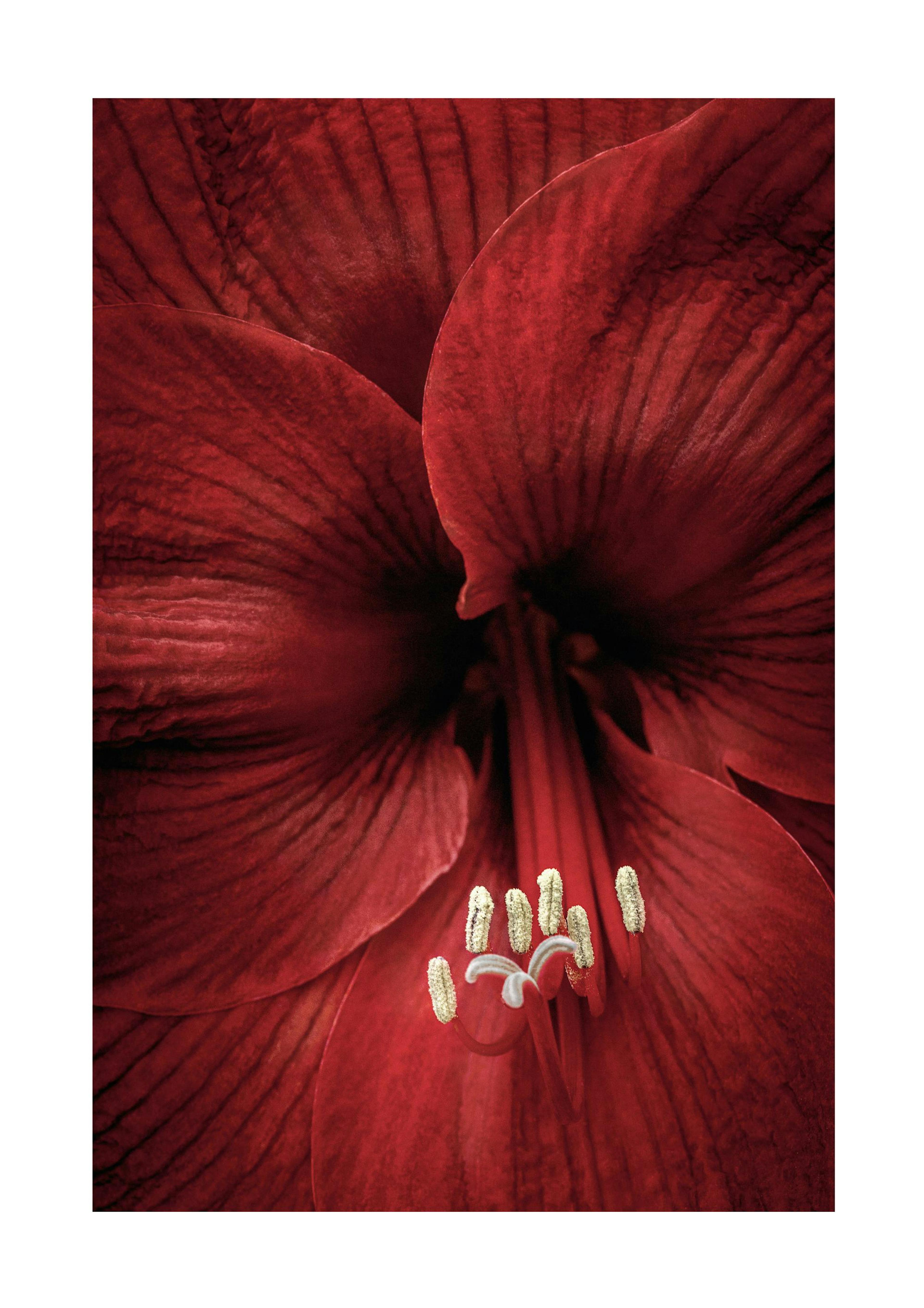 Product image: 1
