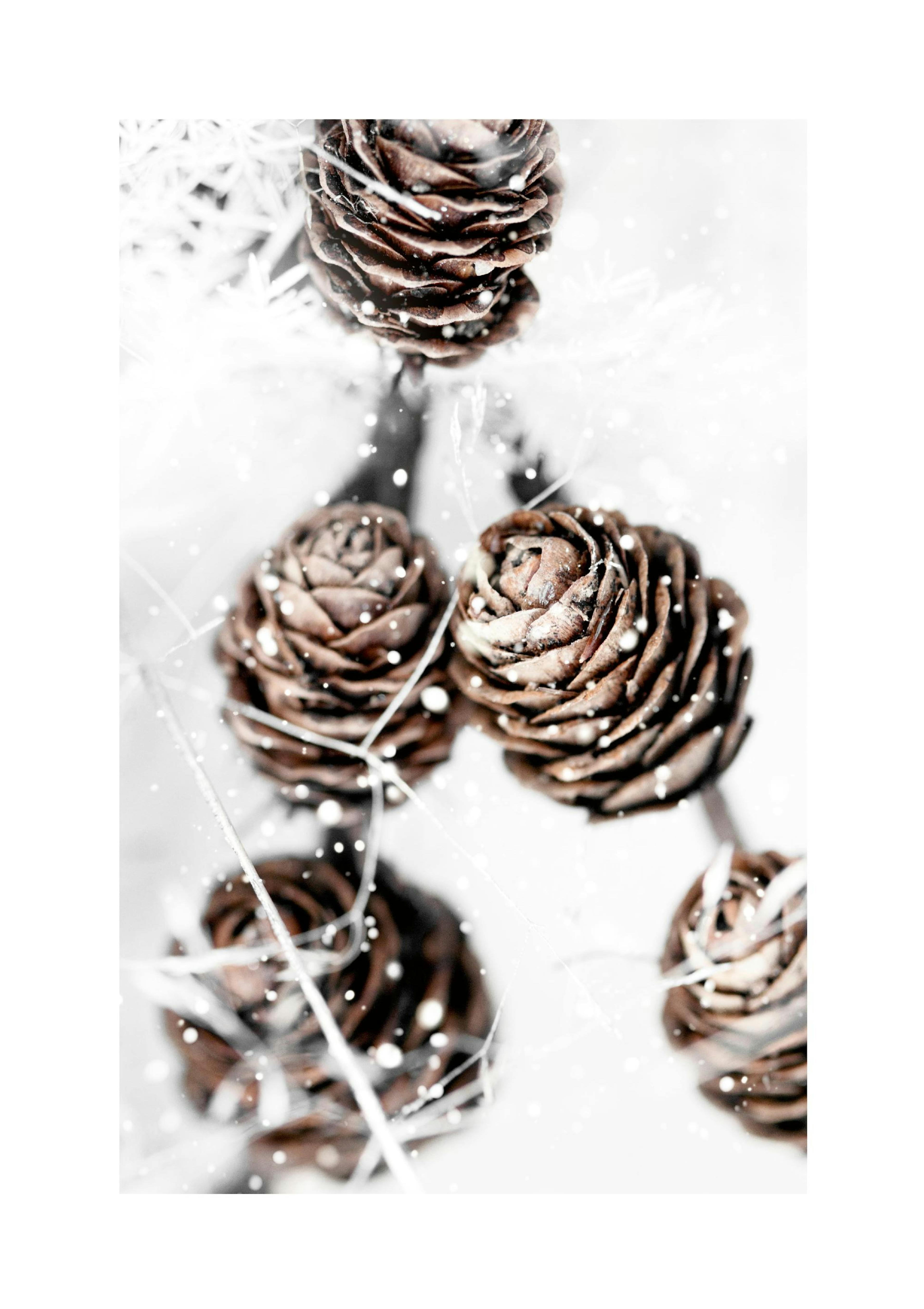 Product image: 1