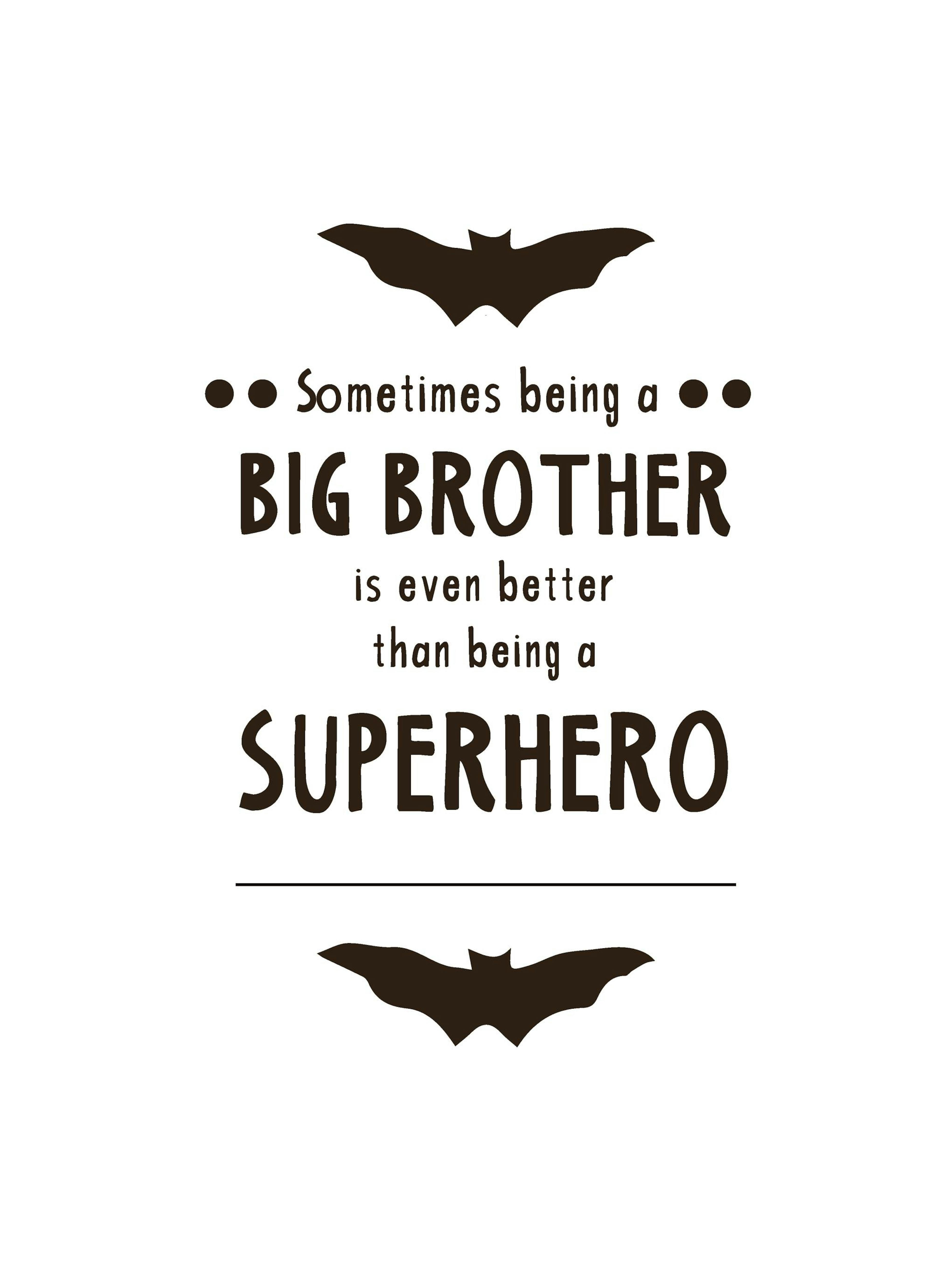 Big Brother Plakat