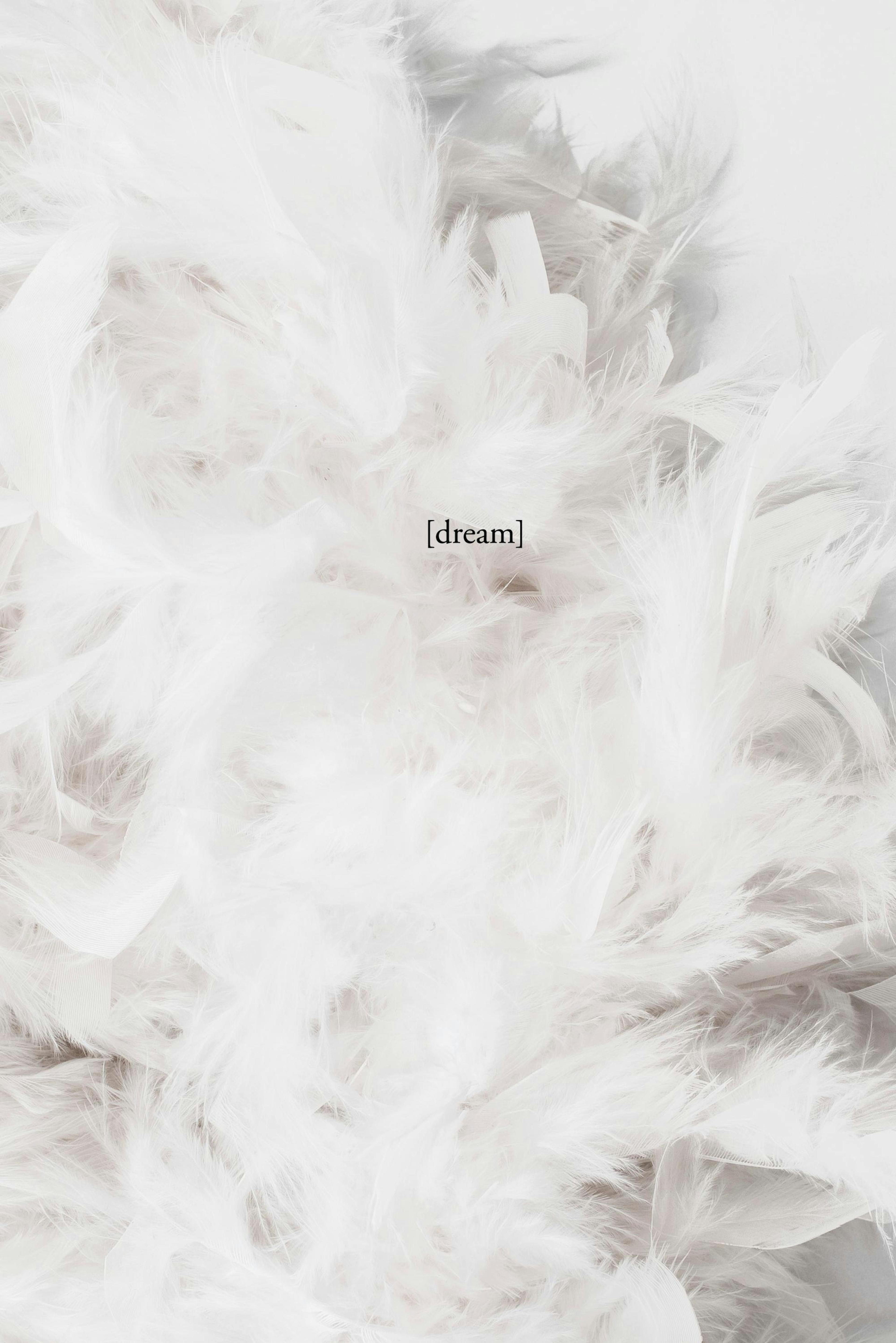 The Dream, Affiches