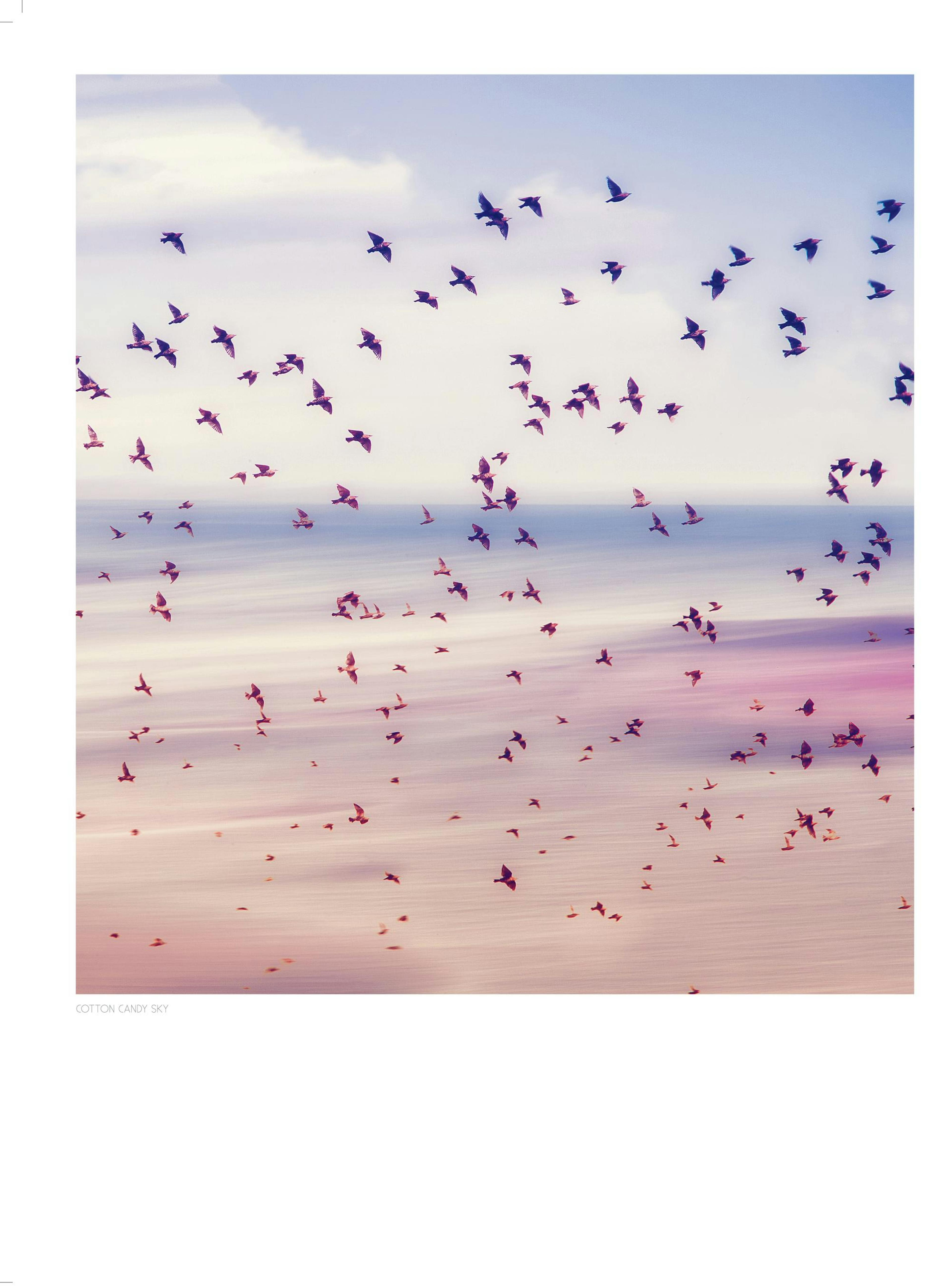 Cotton Candy Sky, Poster