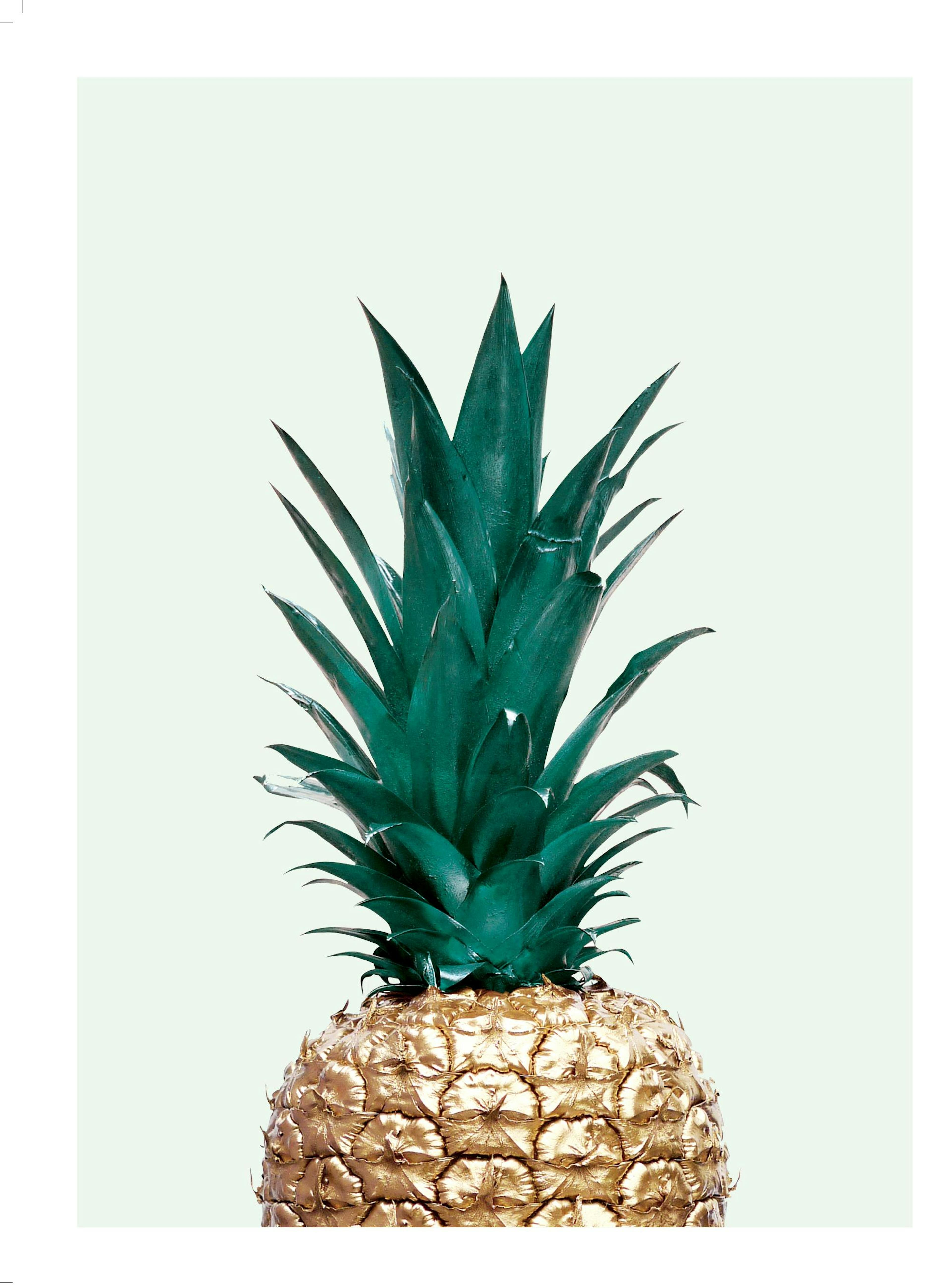 Green Pineapple, Juliste