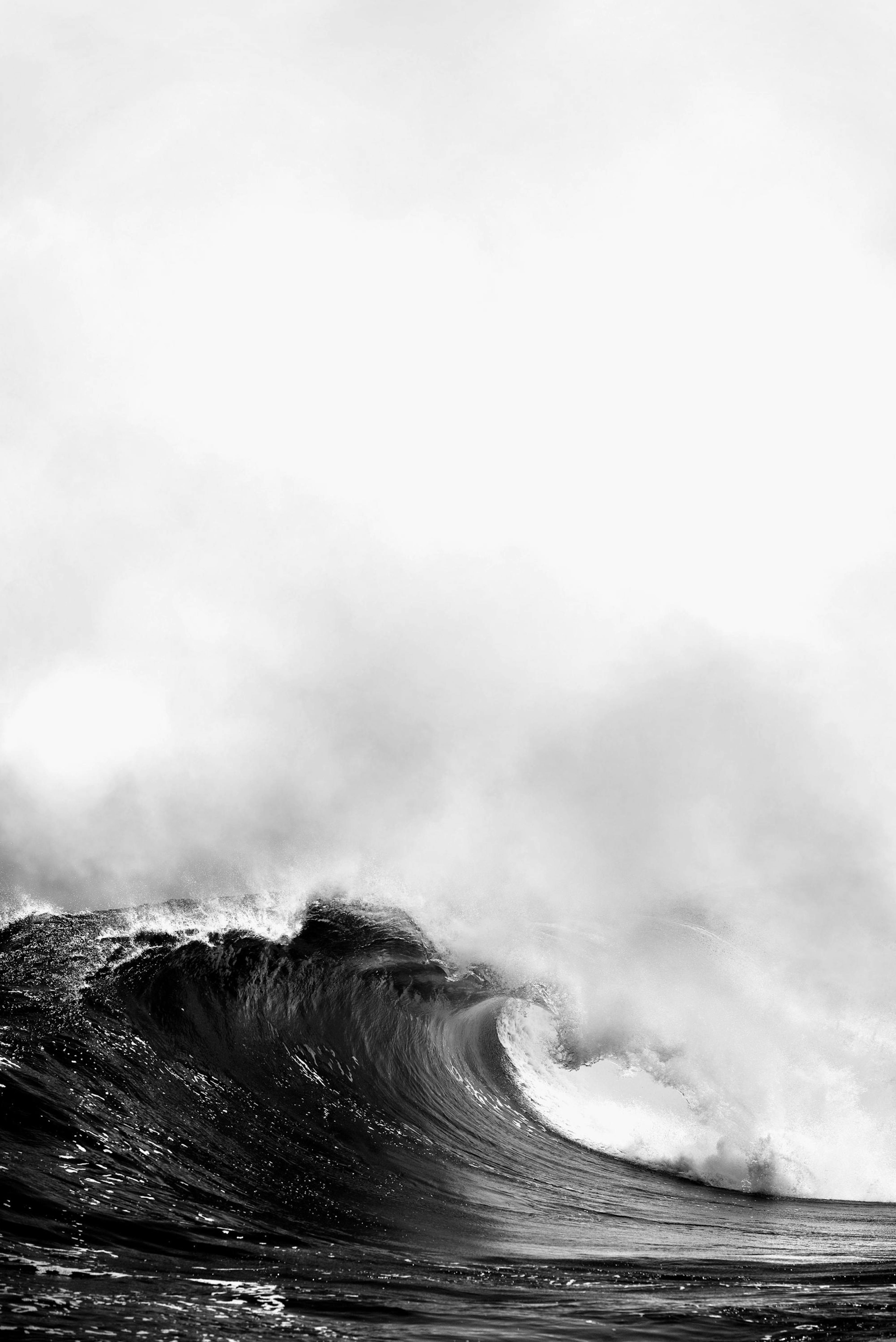 Wave, Poster