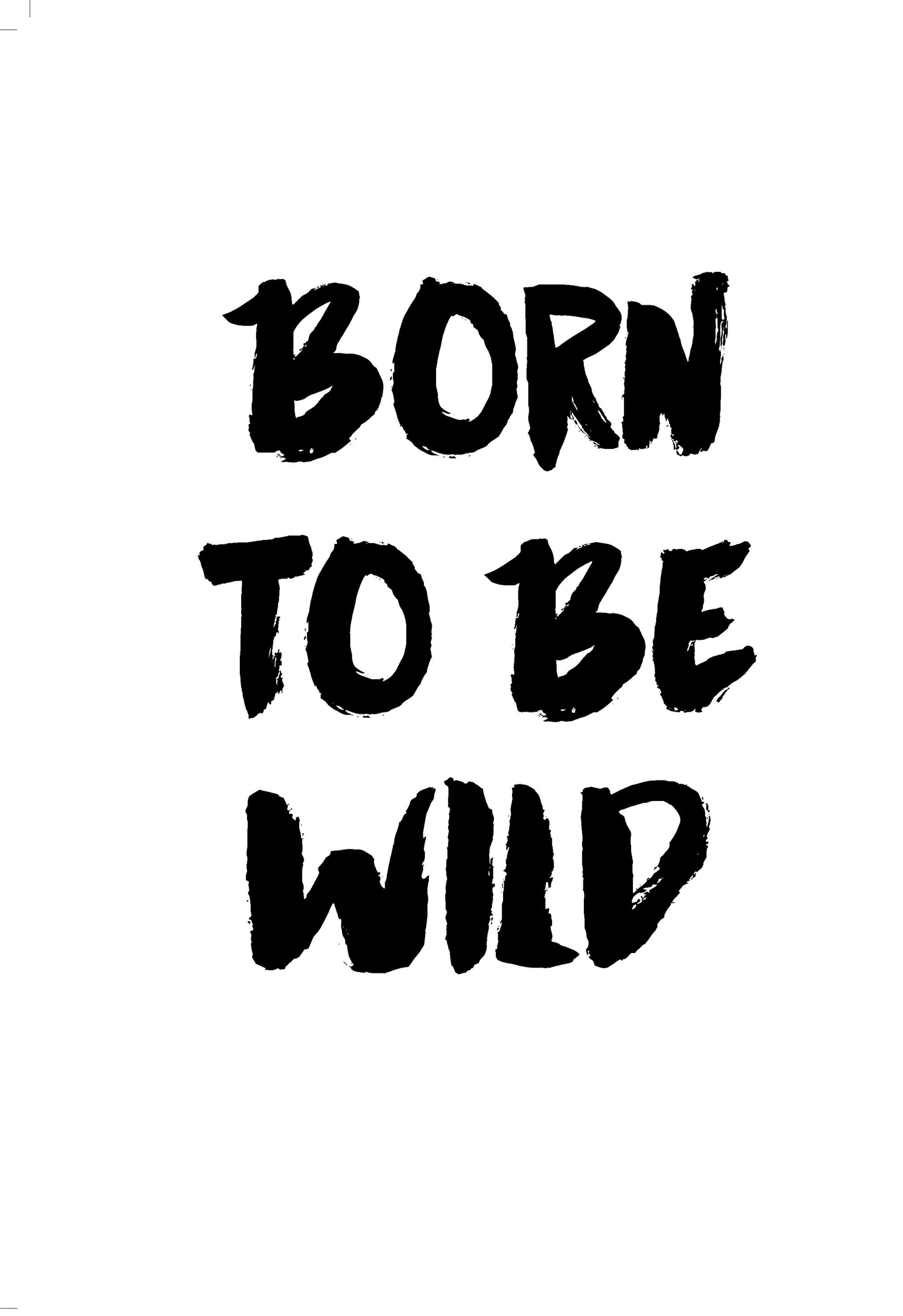 Born To Be Wild, Plakat