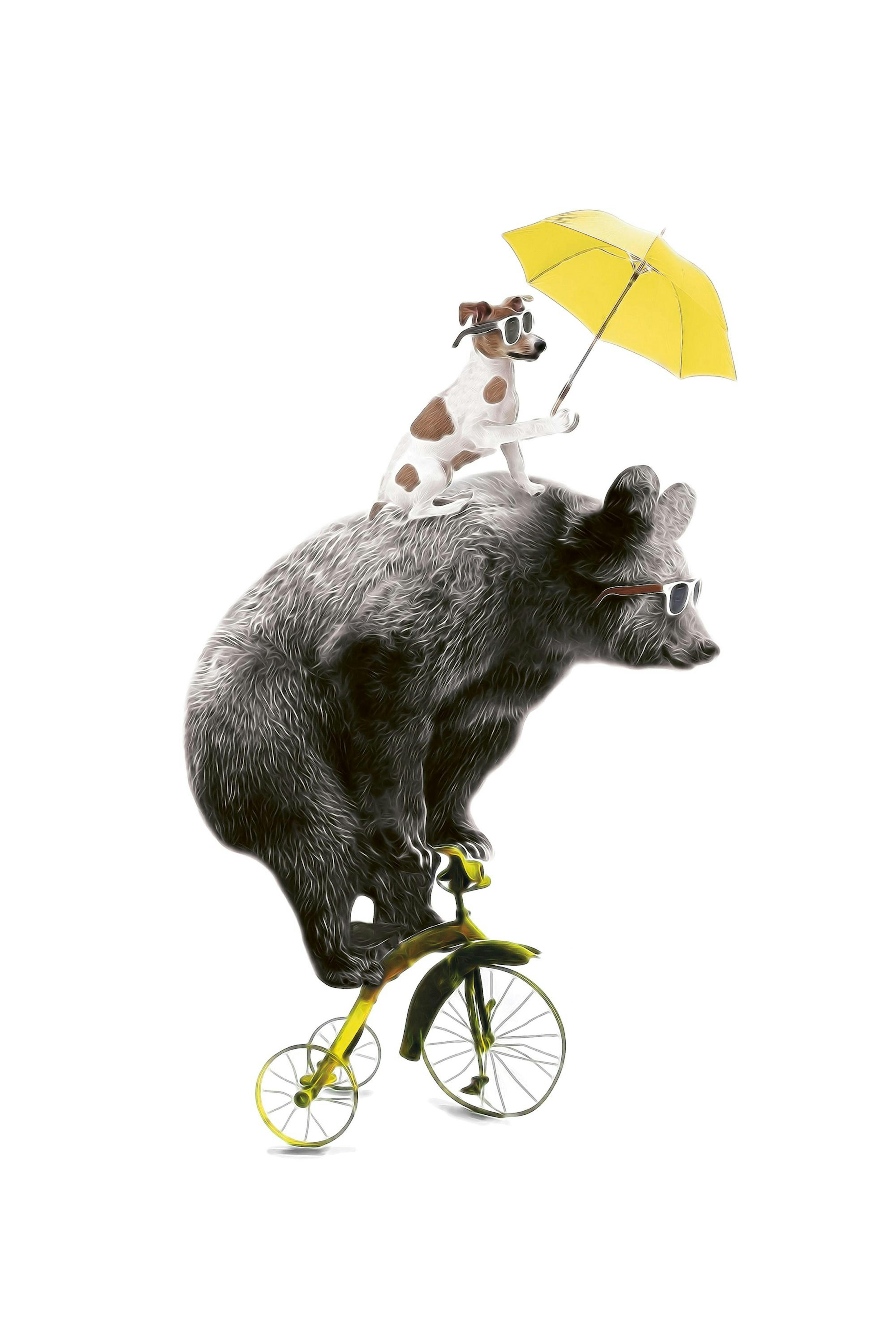 Bear On Yellow Bike, Plakat