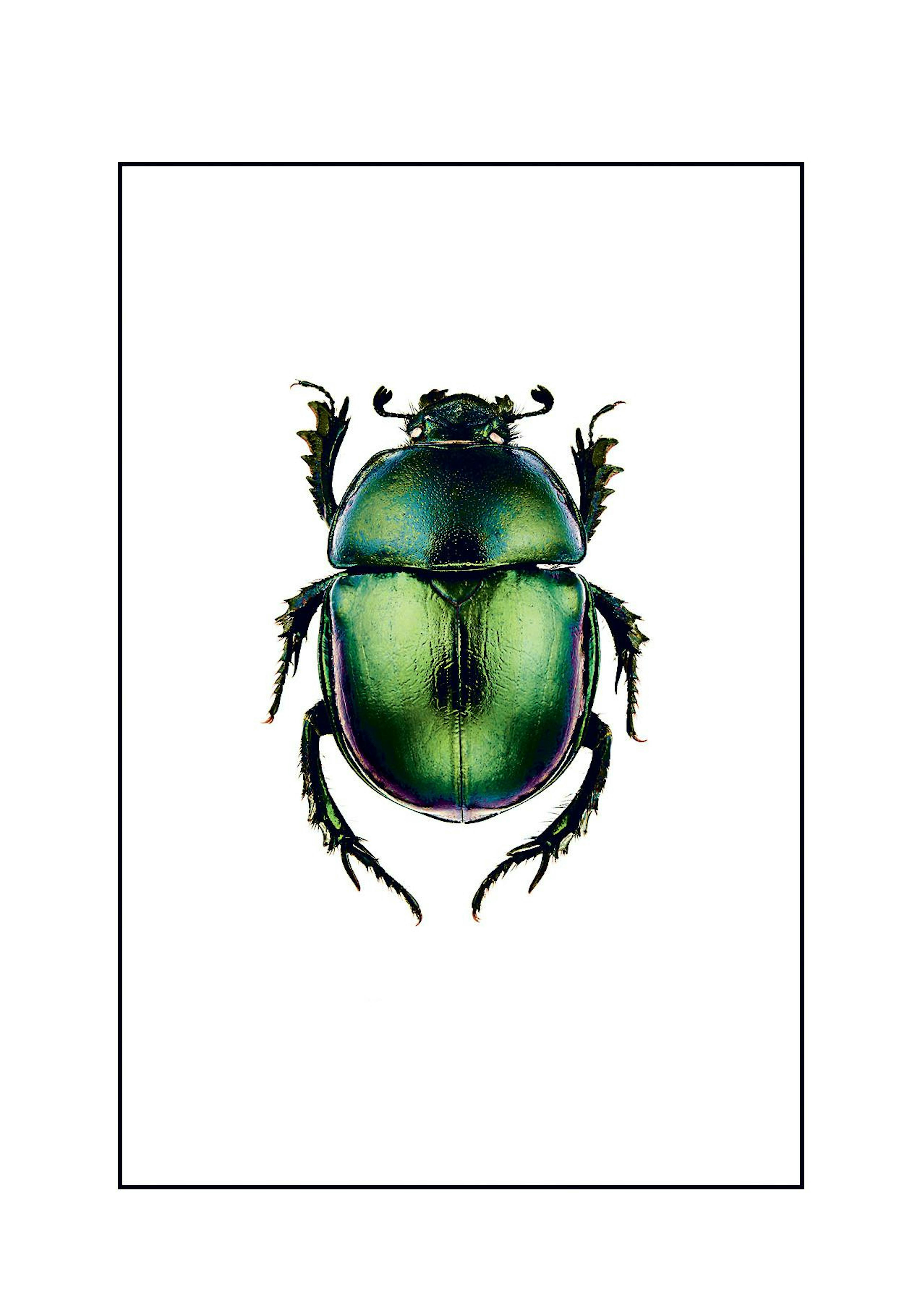 Product image: 1
