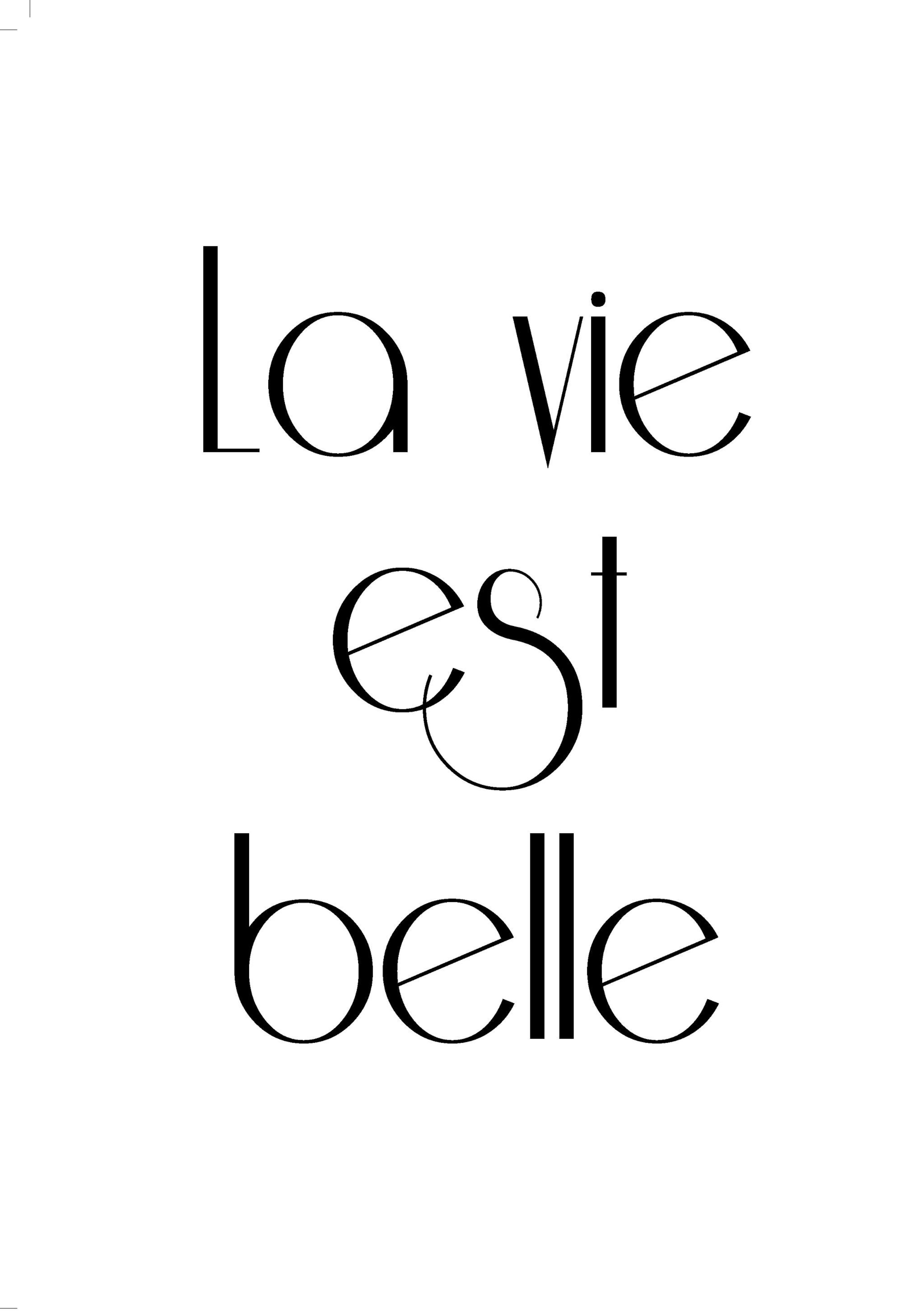 La Vie Est Belle, Affisch