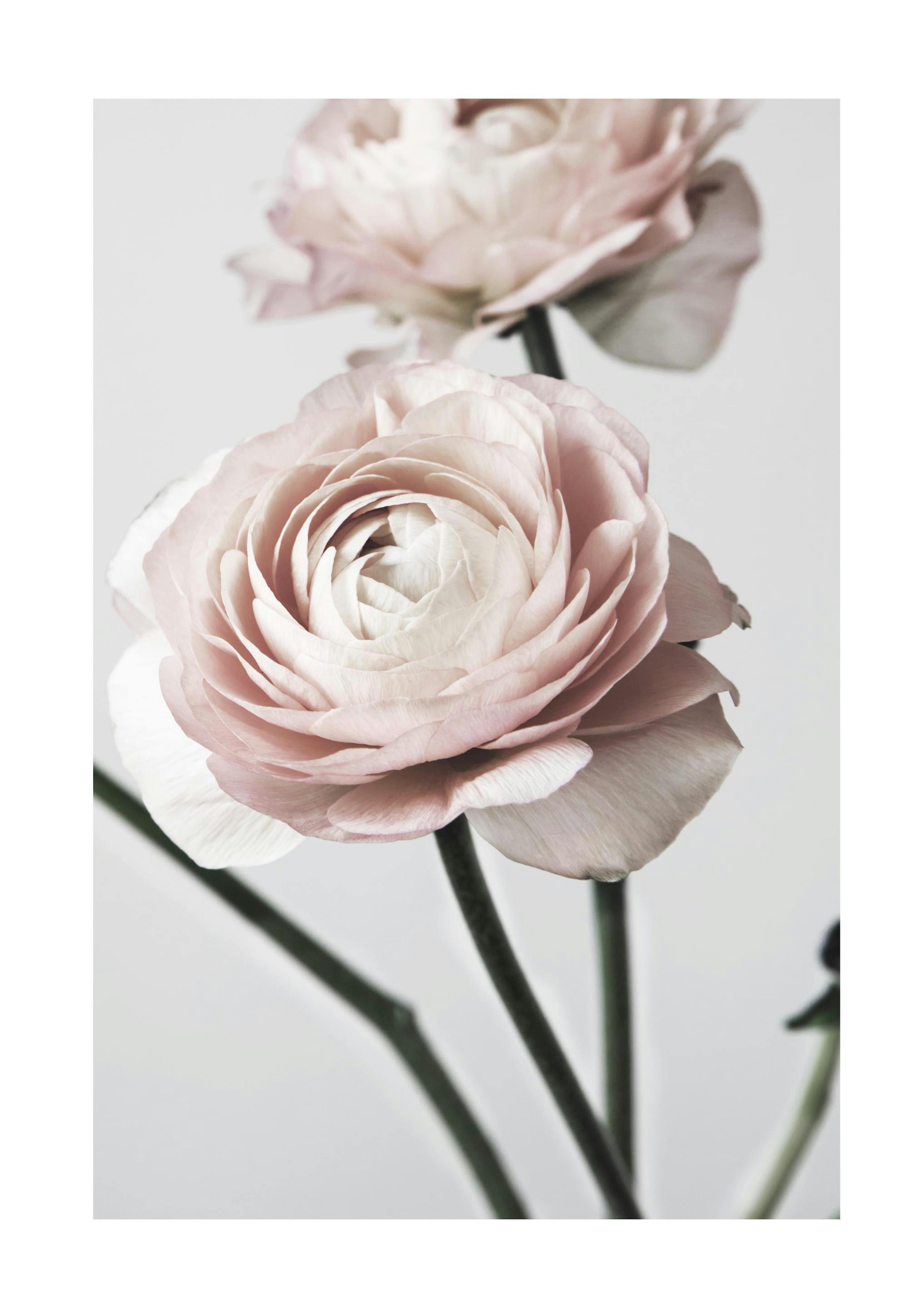Product image: 1