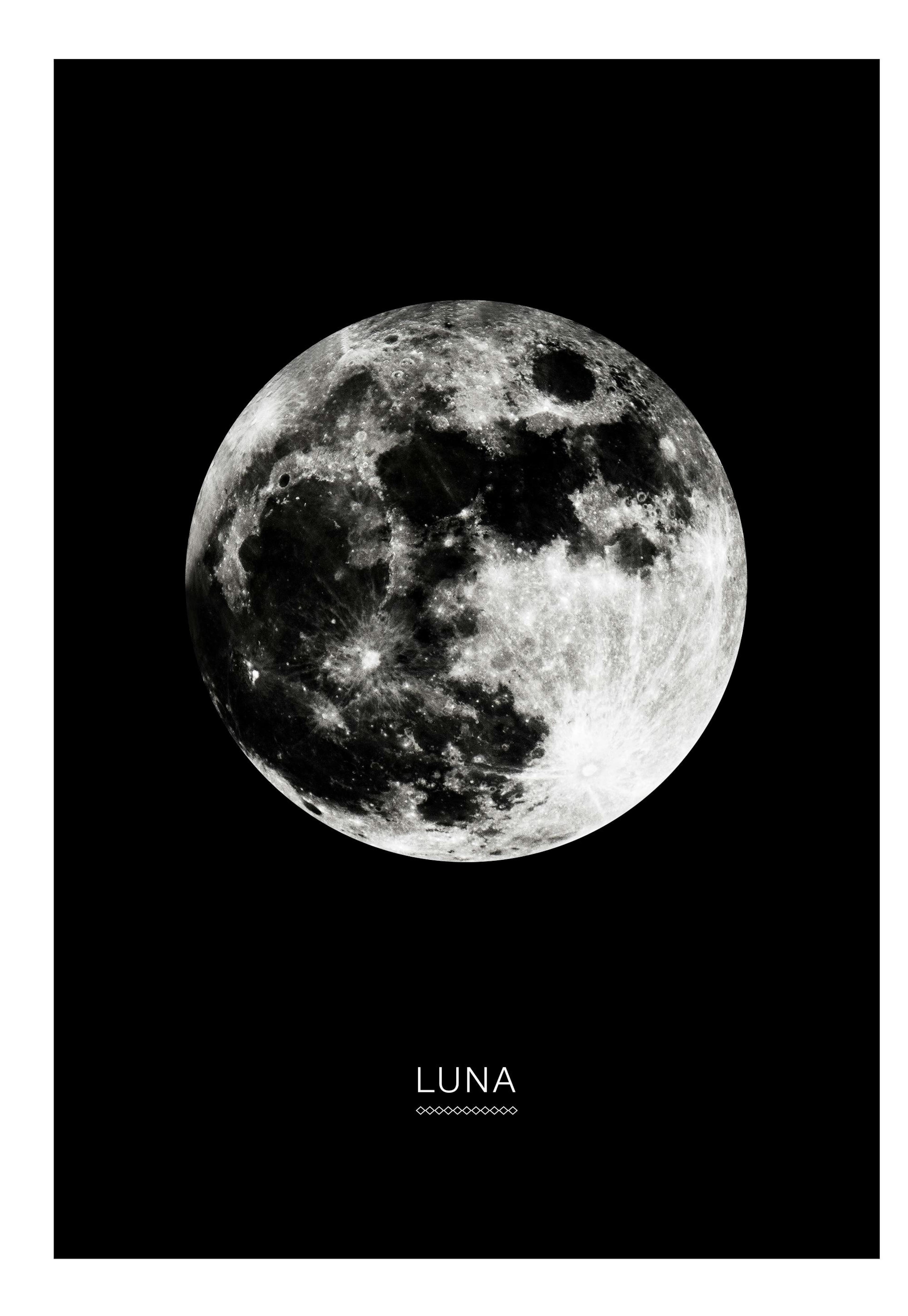 Moon In Black Print