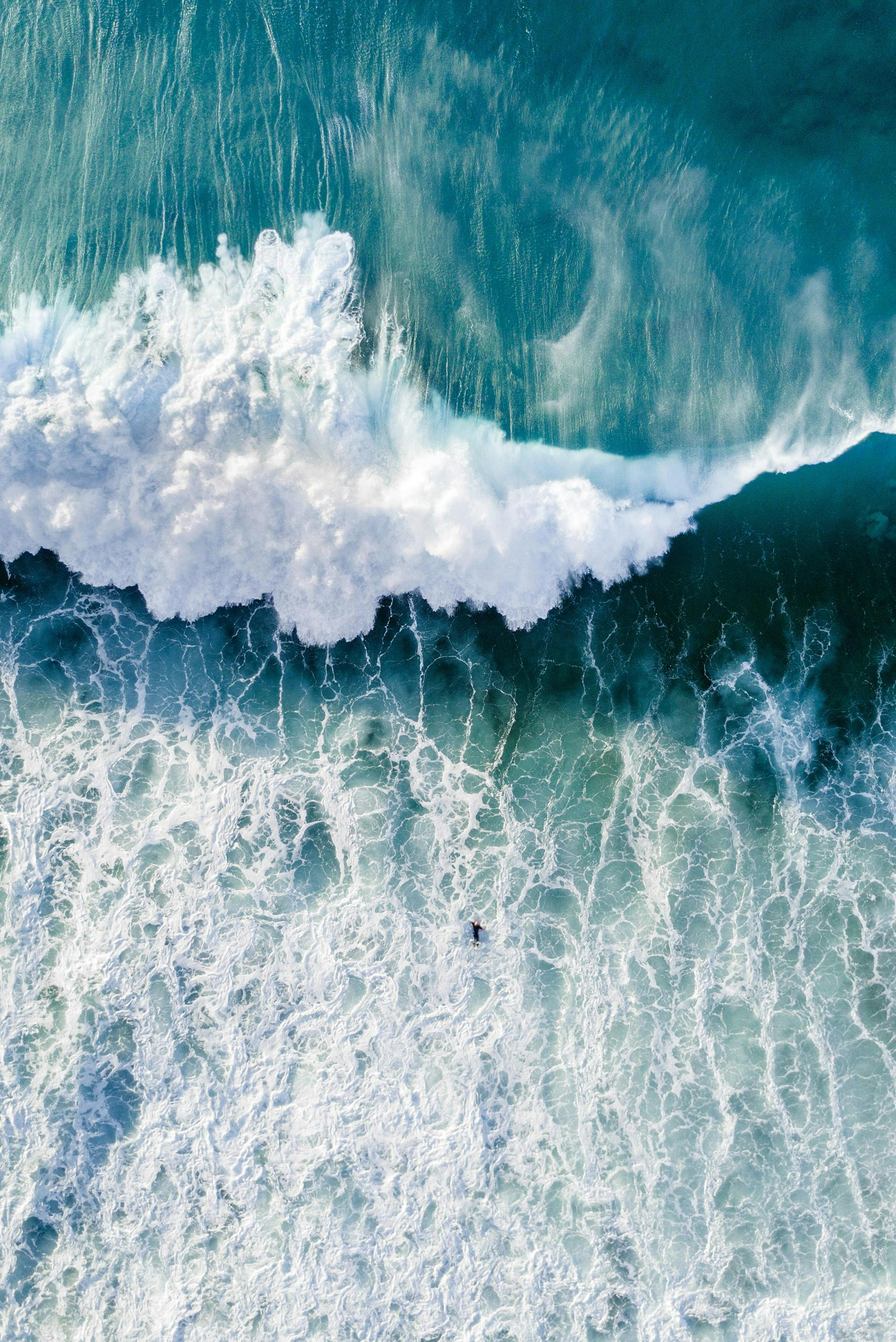 Surfers Wave Poster
