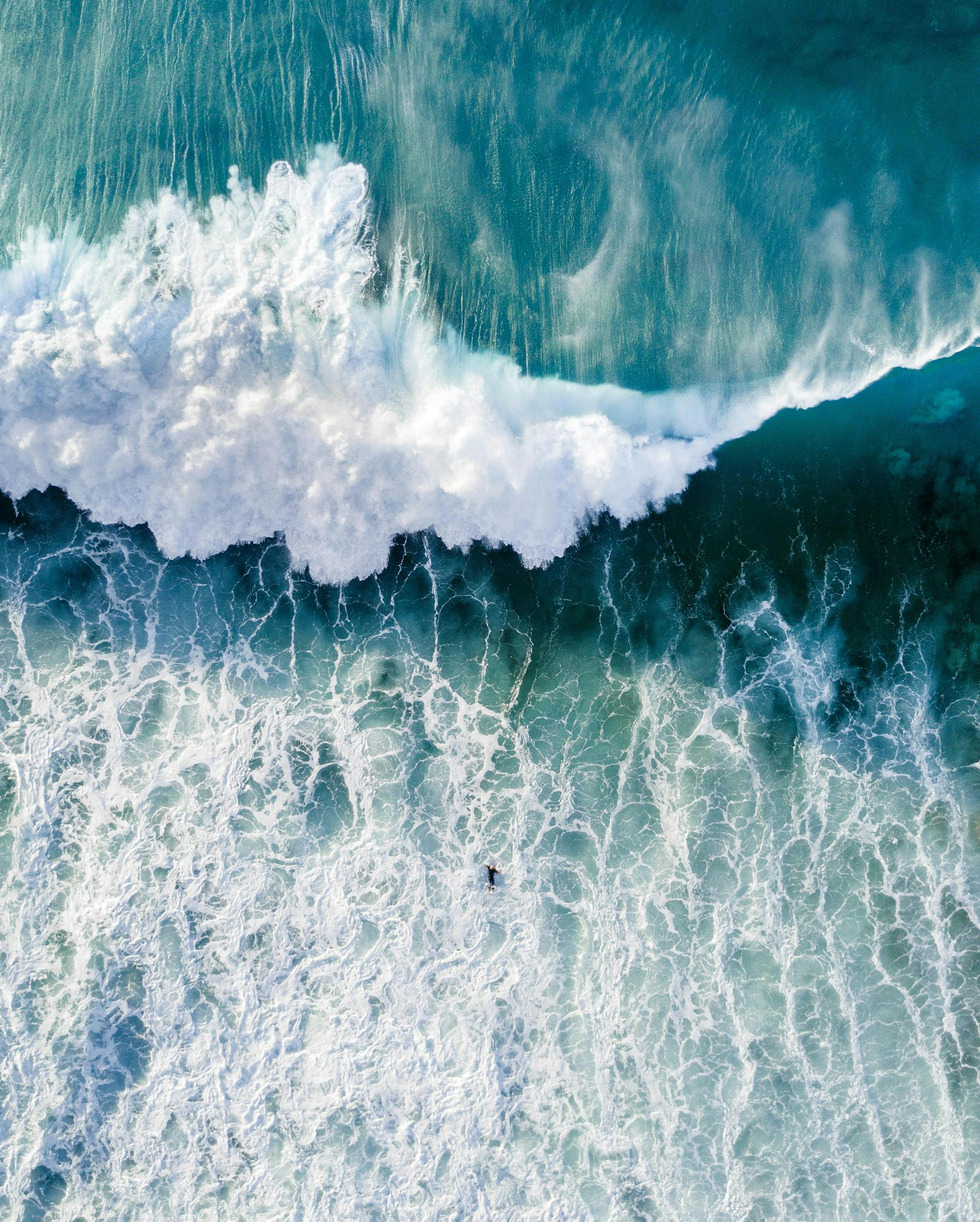 Surfers Wave Print