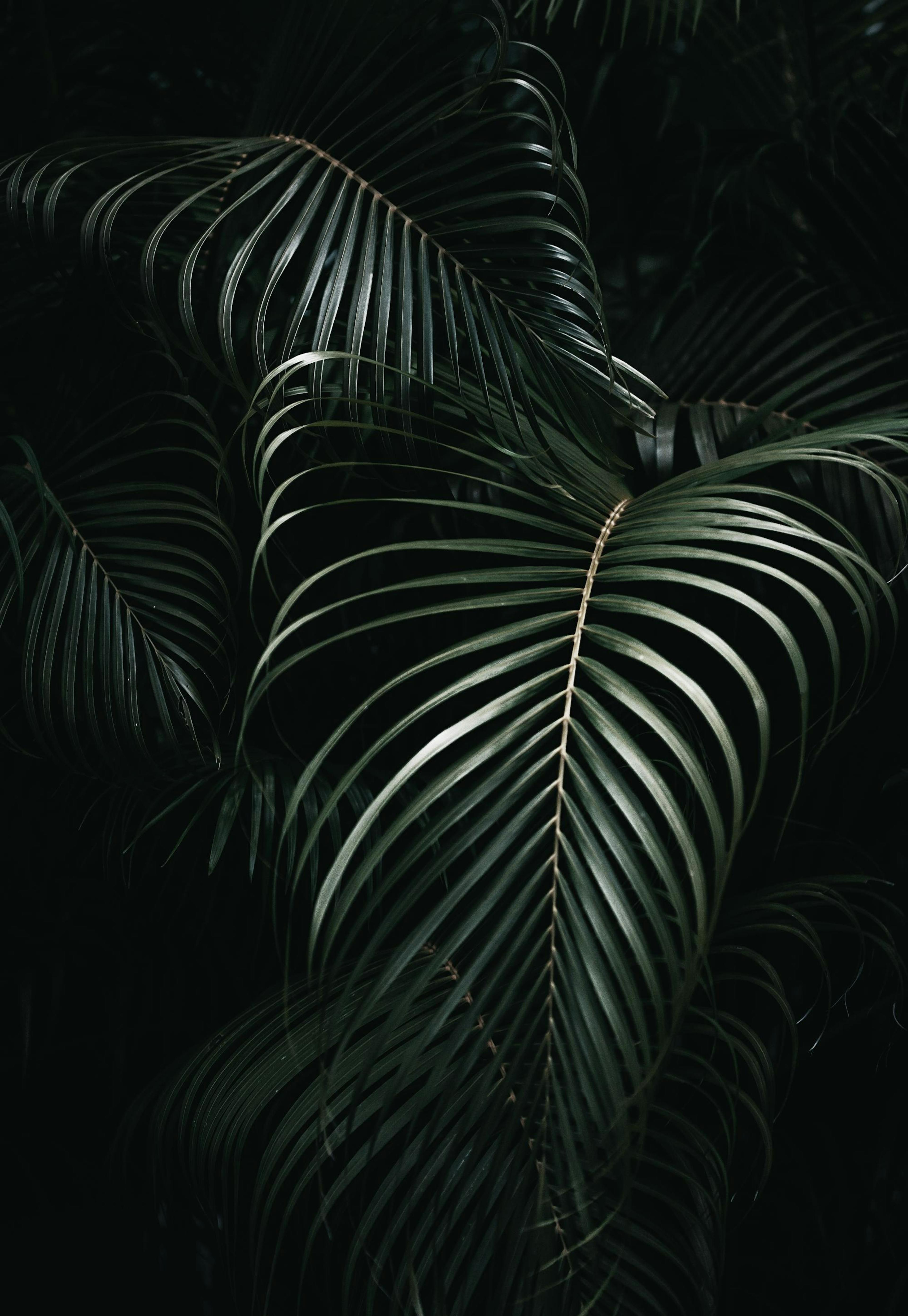 Product image: 1