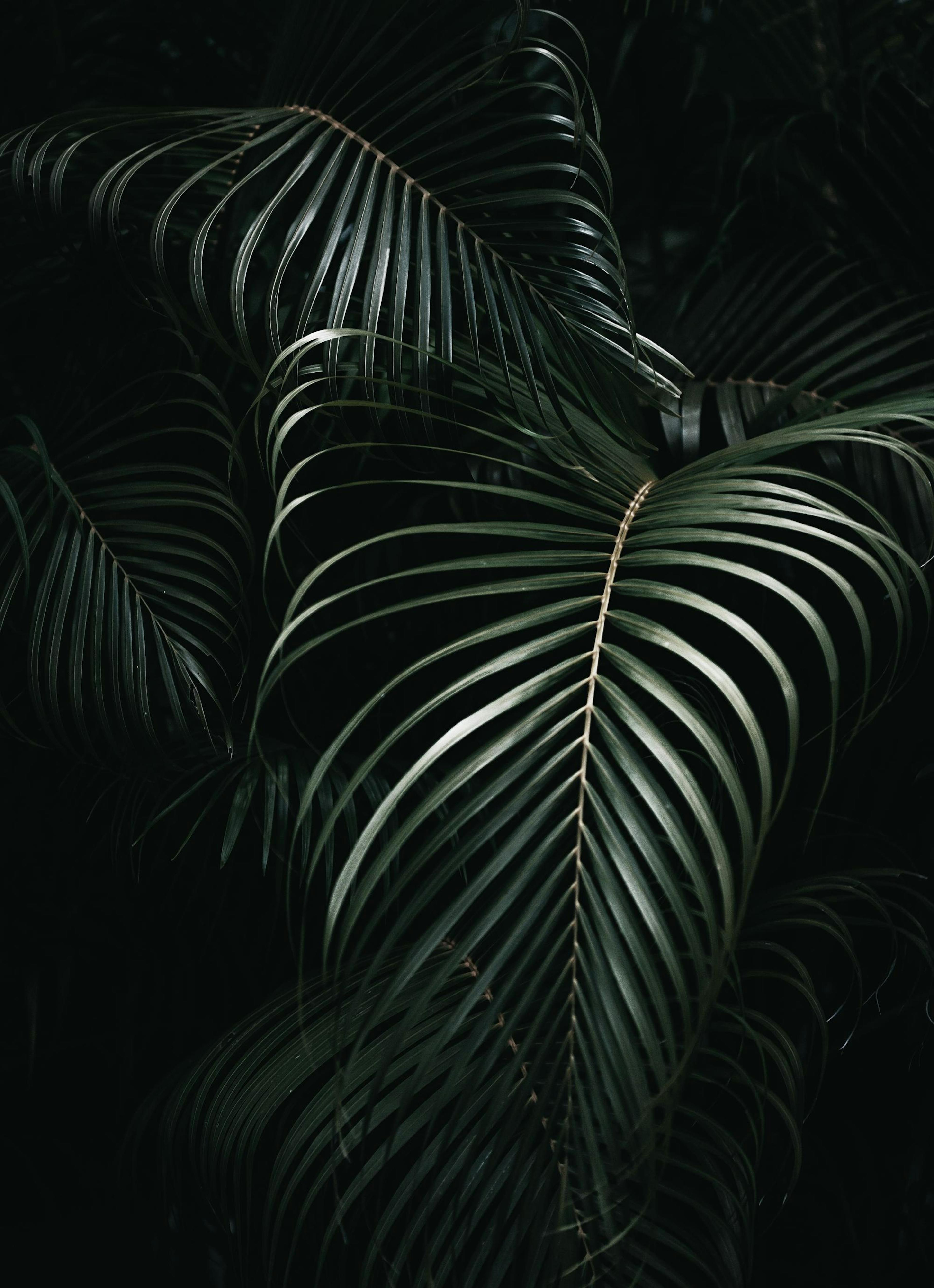 Product image: 1