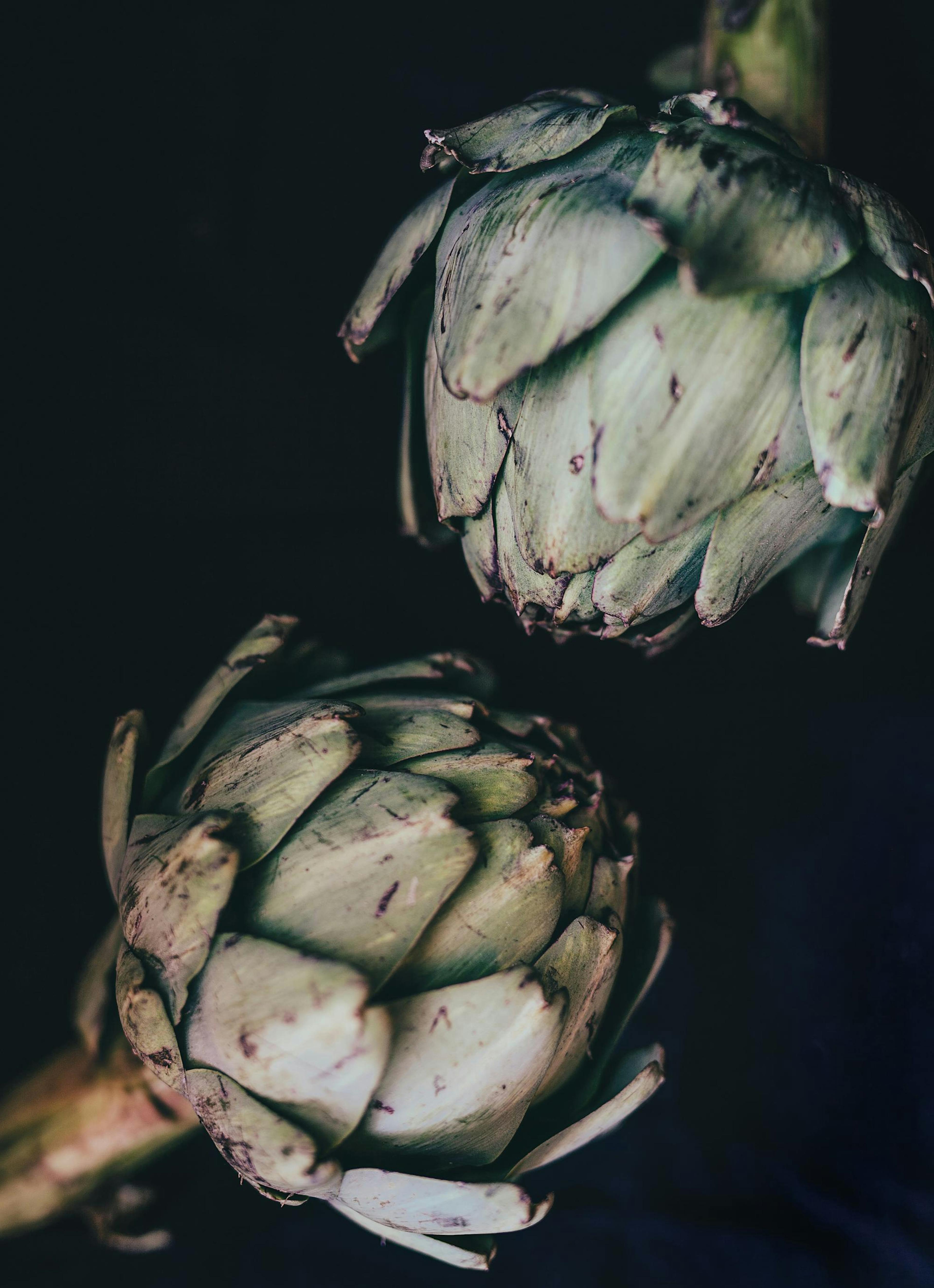 Artichokes Print