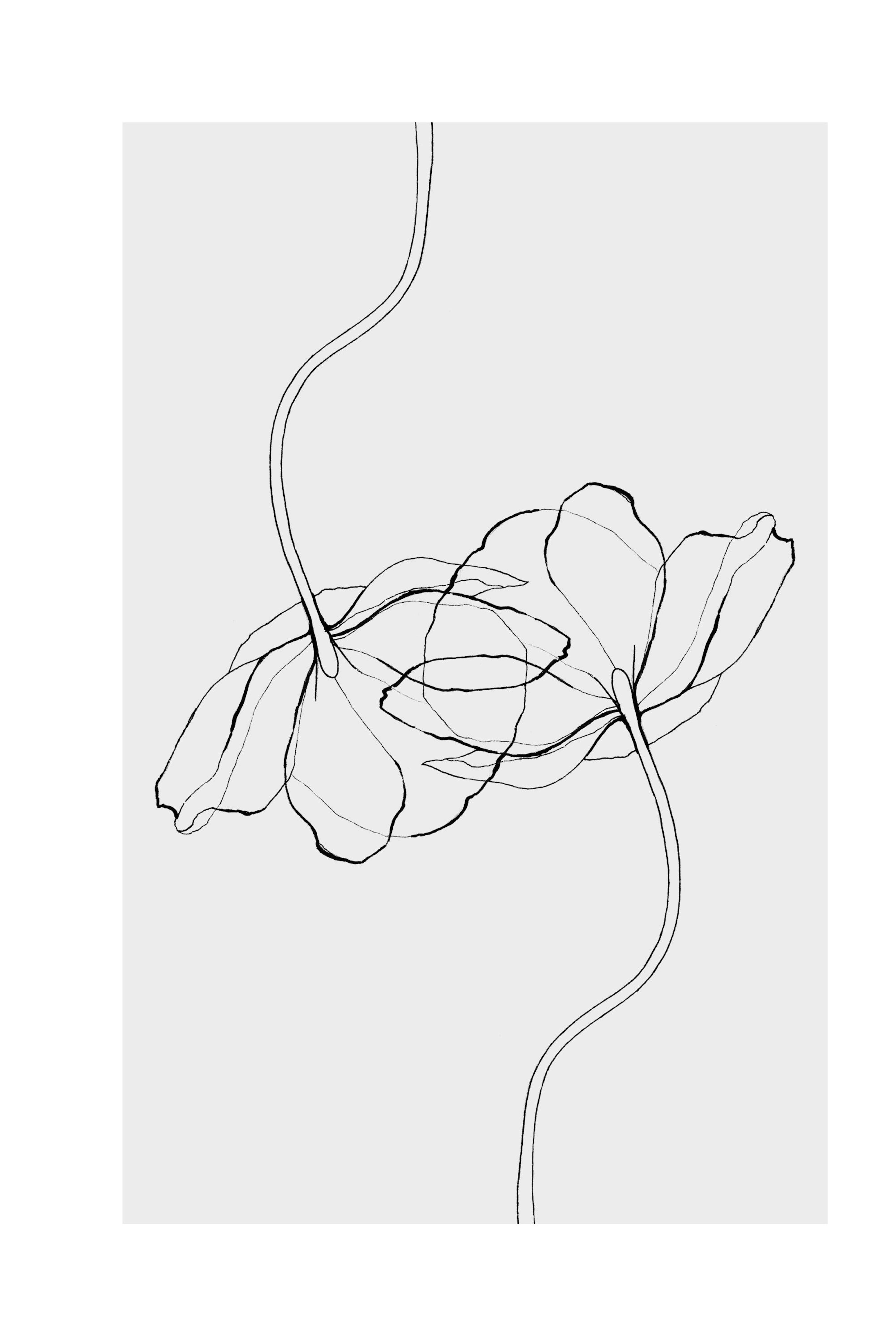 Line Poppies Print