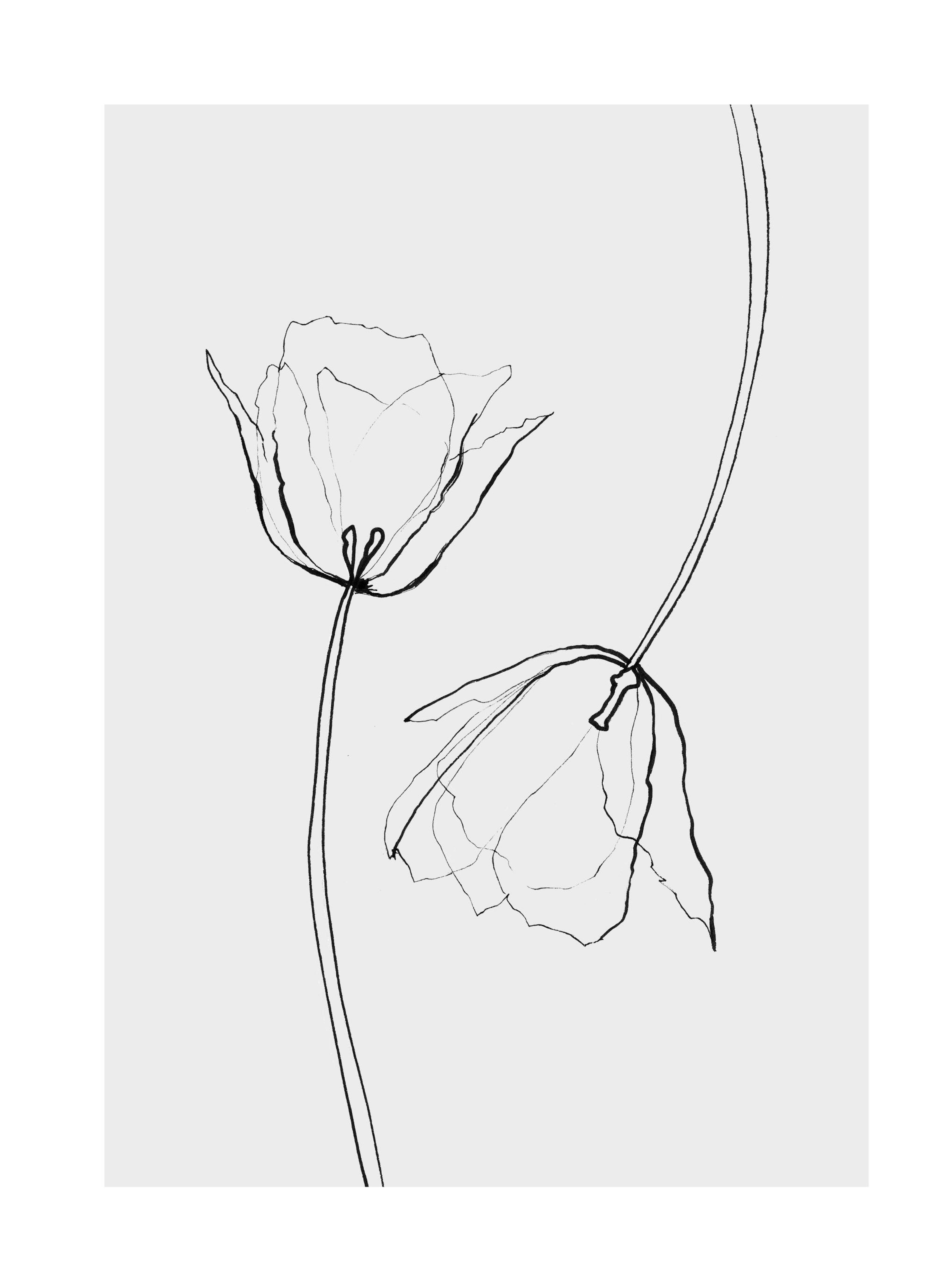 Product image: 1