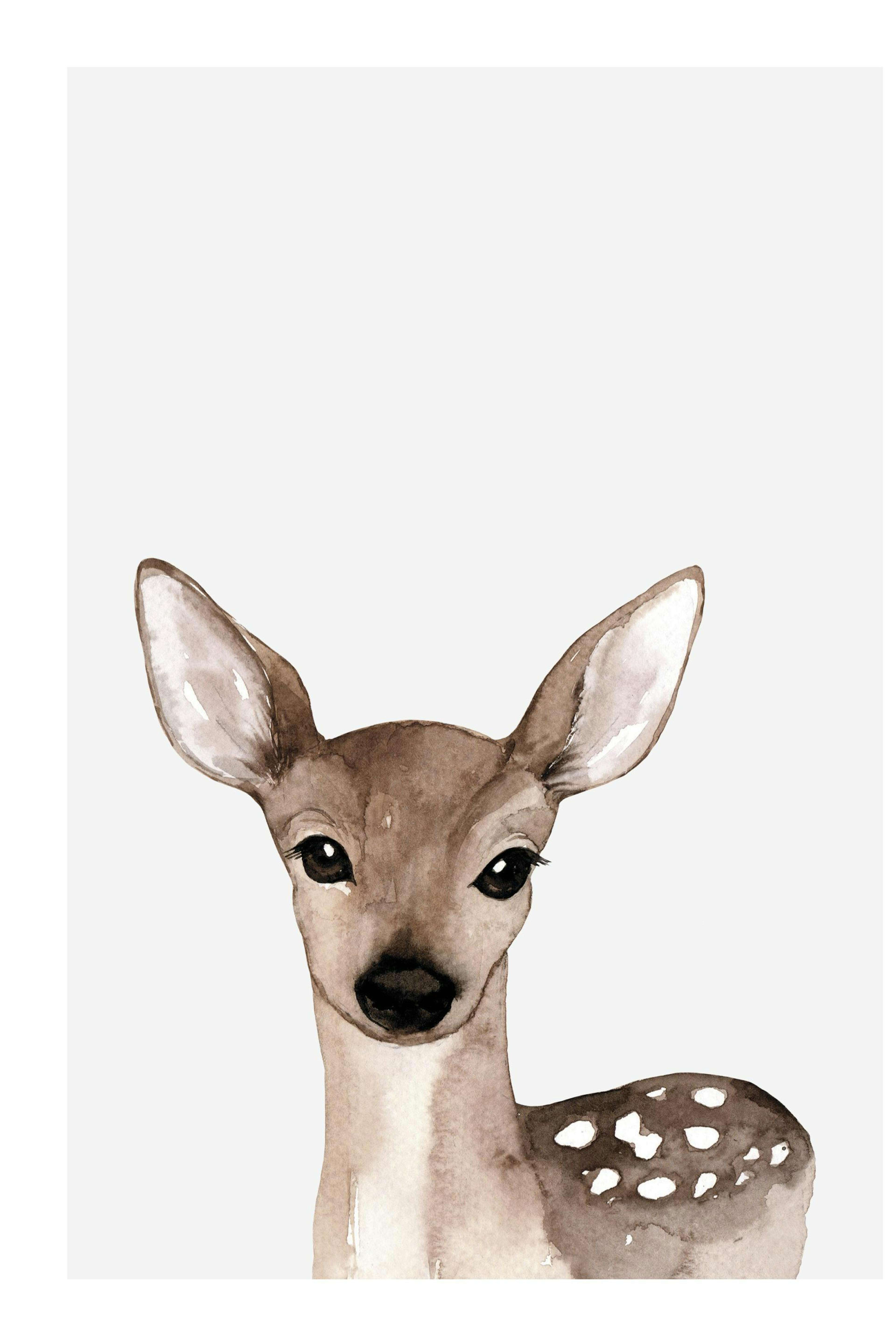 Little Deer Poster