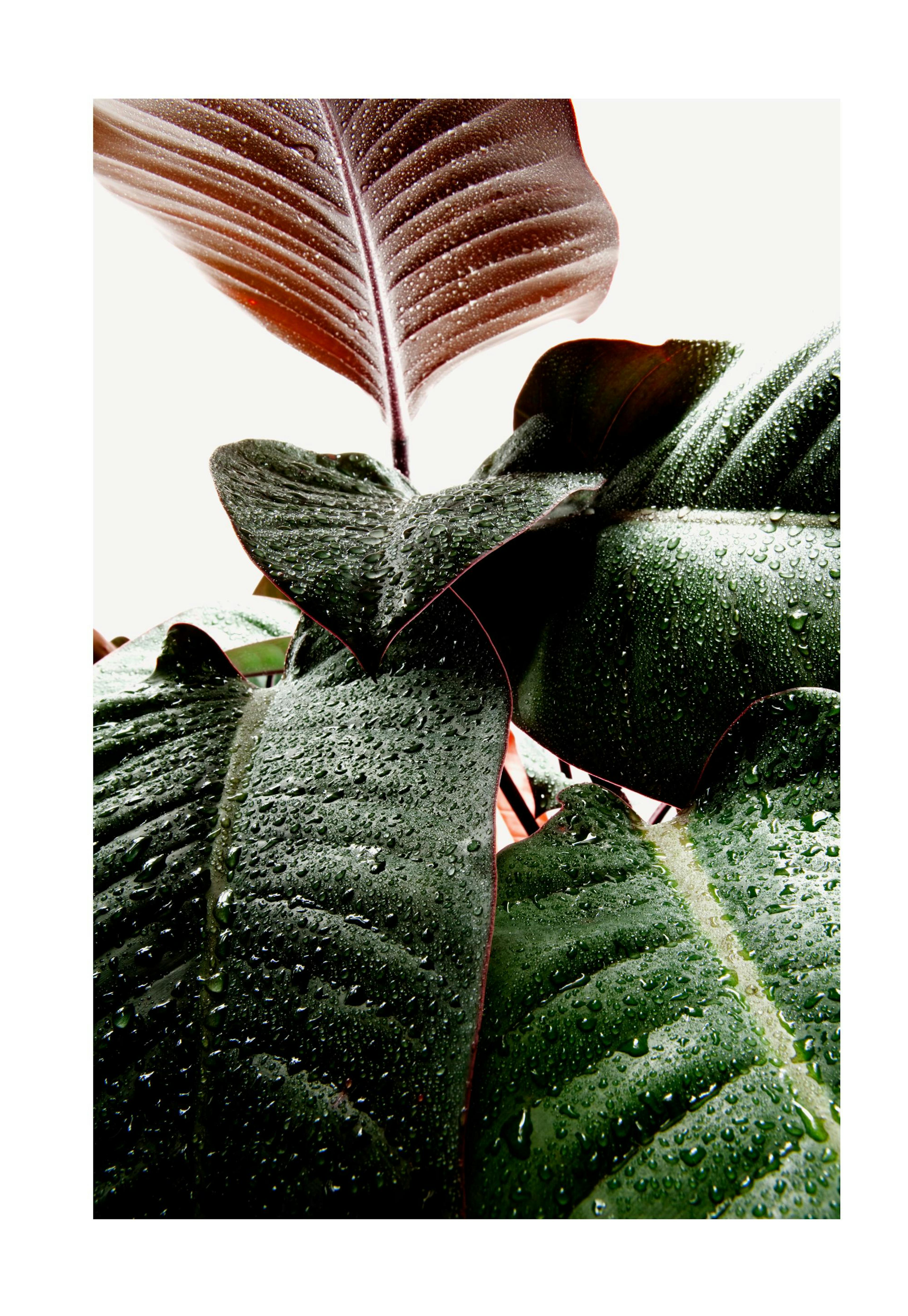 Product image: 1