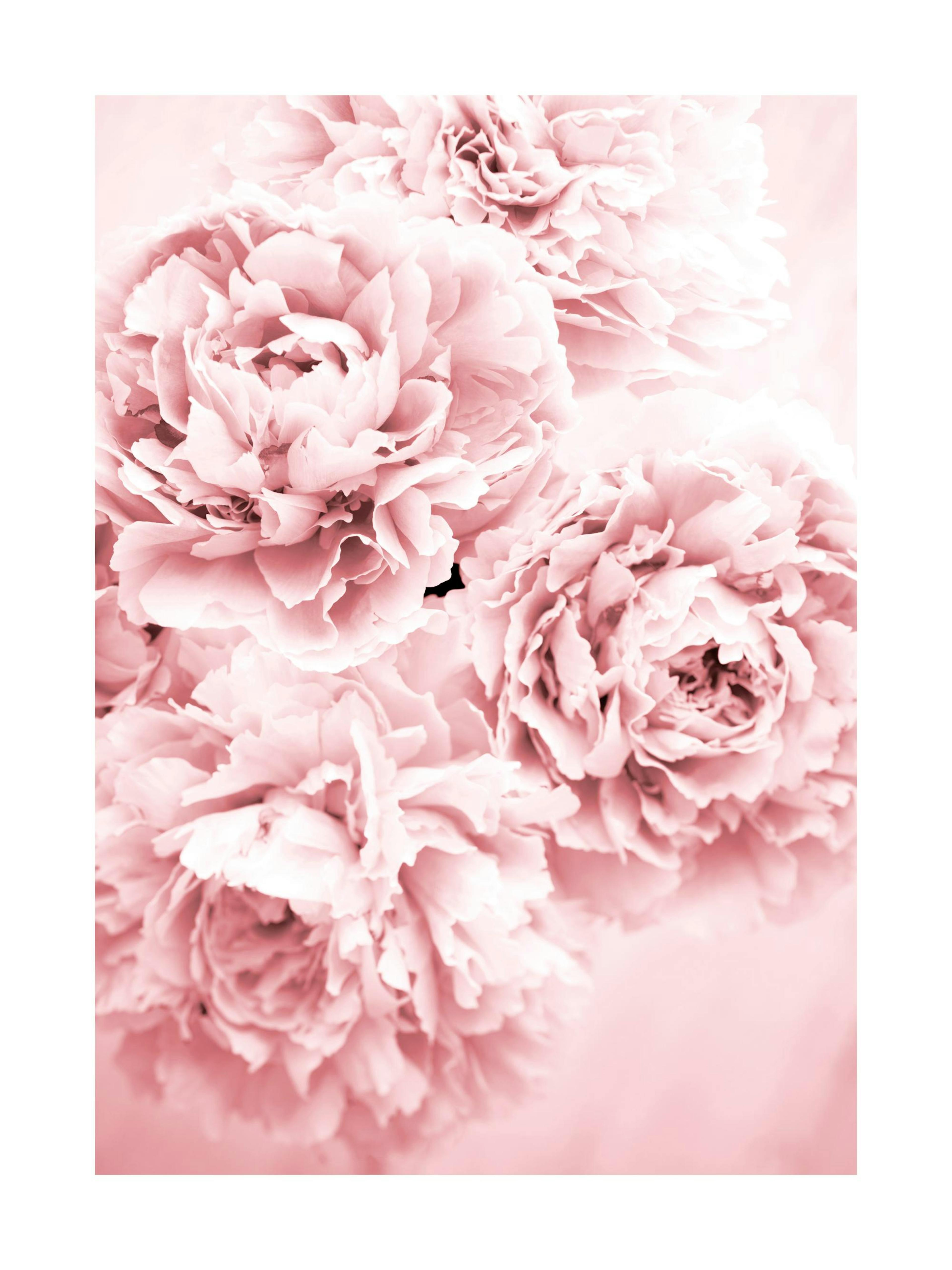 Pink Dream Print