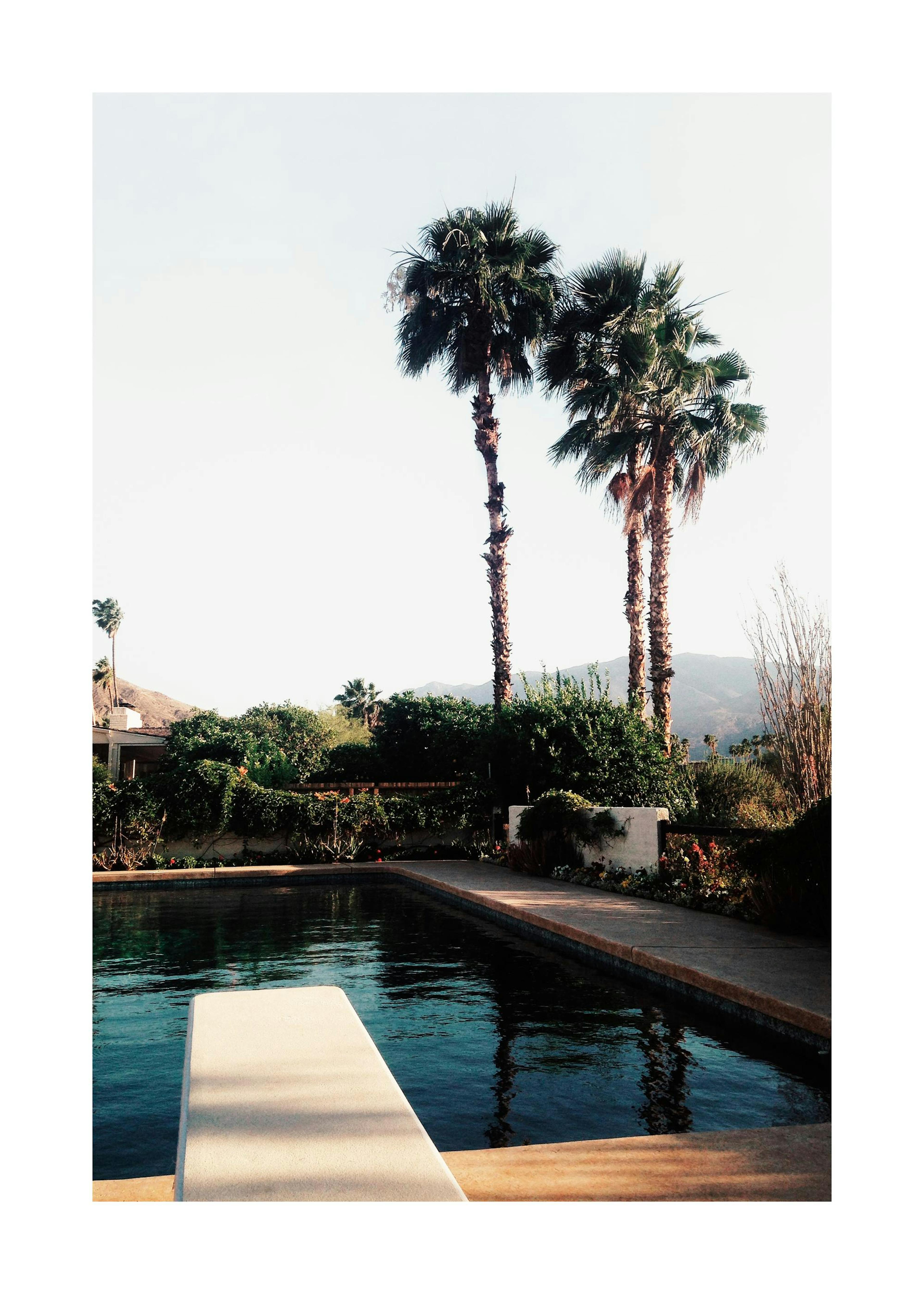 Palm Springs Pool Affiche 0