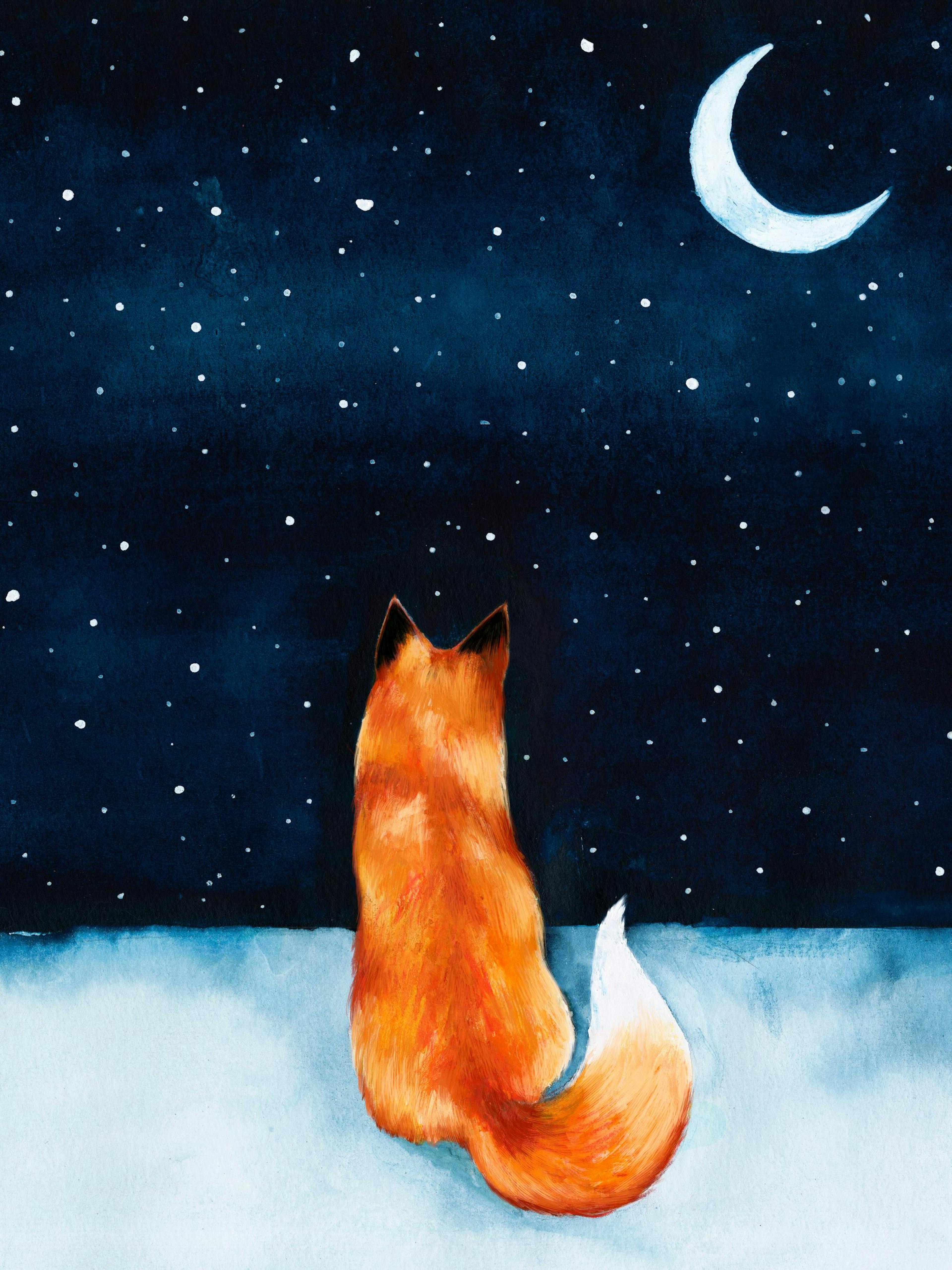 Night Fox Poster
