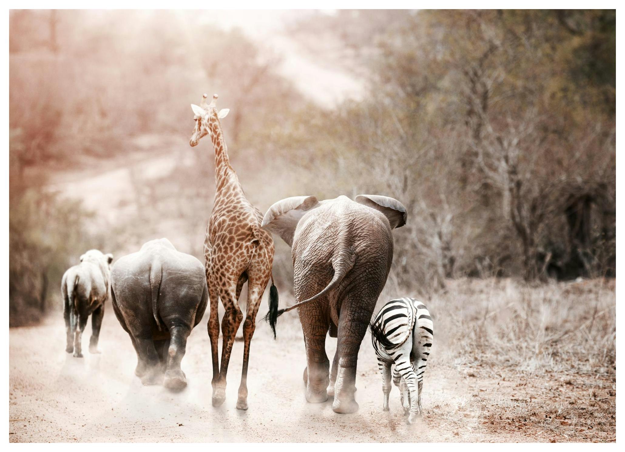 Friendship Poster (21x30 cm)- Arte fotográfica